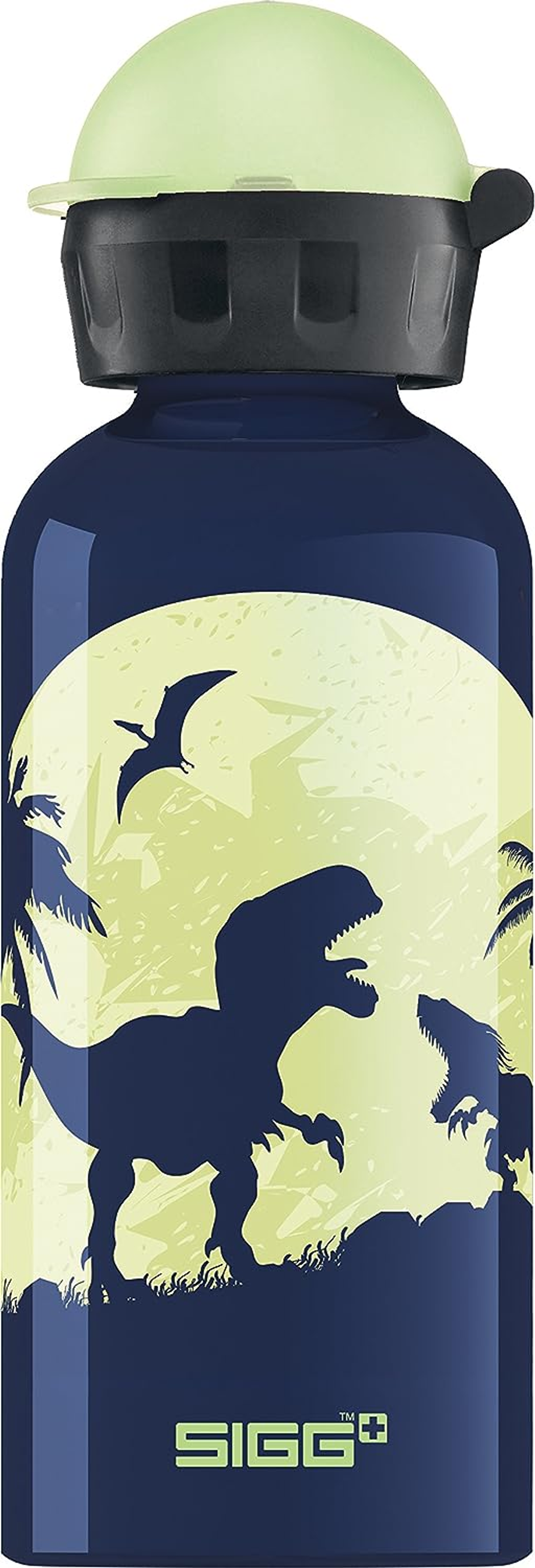 Dunkelblaue Wasserflasche mit Dinosaurier-Silhouette-Design unter einem hellgrünen Vollmond.