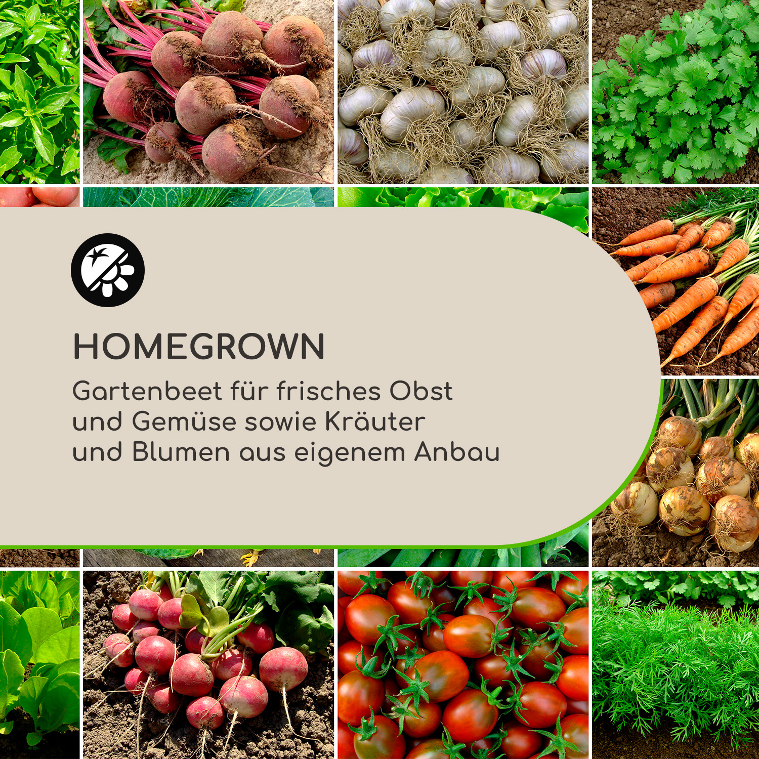 Eine Collage verschiedener Gemüsesorten, darunter Rüben, Knoblauch, Tomaten und Karotten, mit Text.