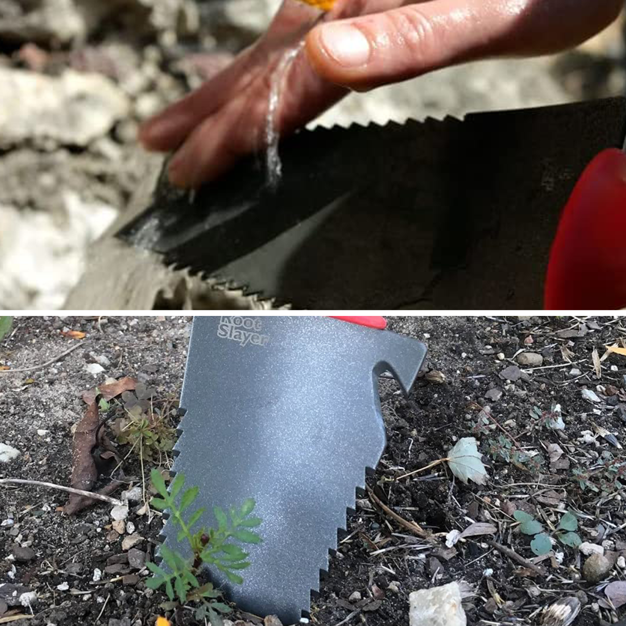 Eine Hand gießt Wasser auf ein metallenes Gartengerät in die Erde.