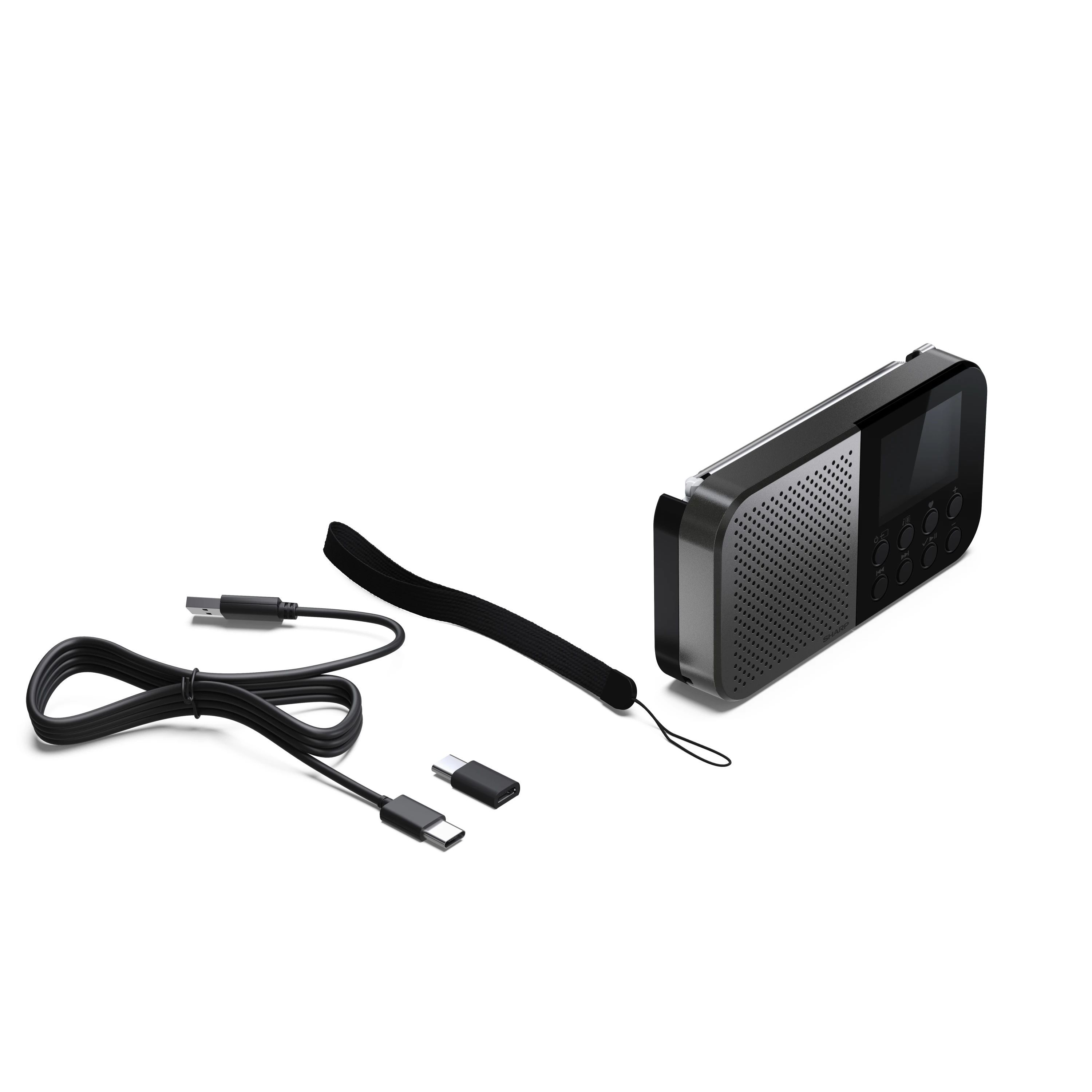 Een zwarte radio met een bandje, een USB-kabel en een USB-C-adapter, alles op een wit oppervlak.