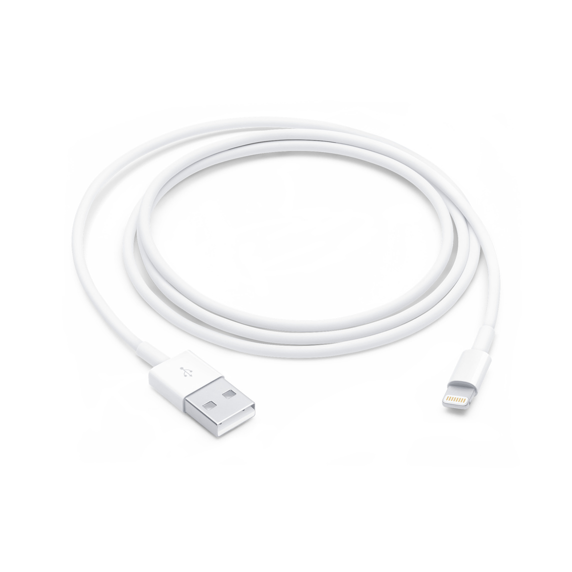 Cavo USB a Lightning bianco, arrotolato. Sfondo bianco. Connettori USB e Lightning visibili.
