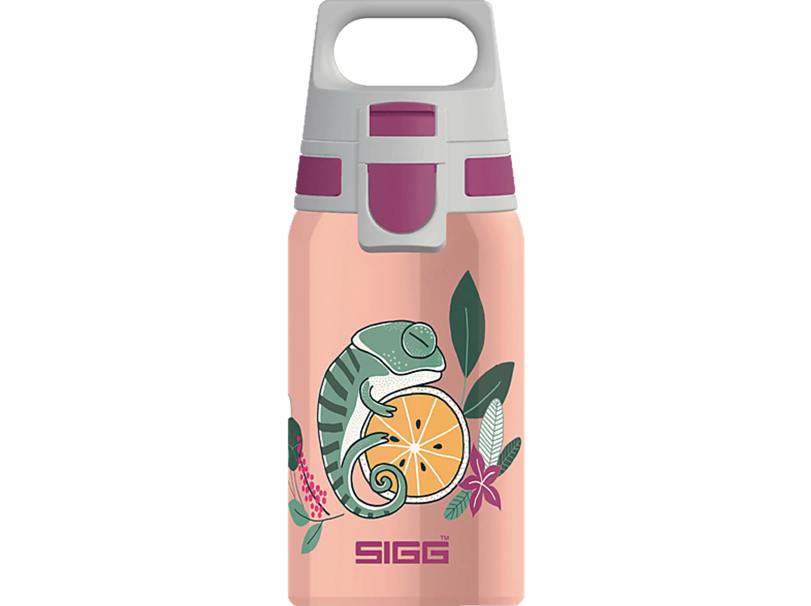 Eine rosa Wasserflasche mit Chamäleon-Design und dem Markennamen 'SIGG'.