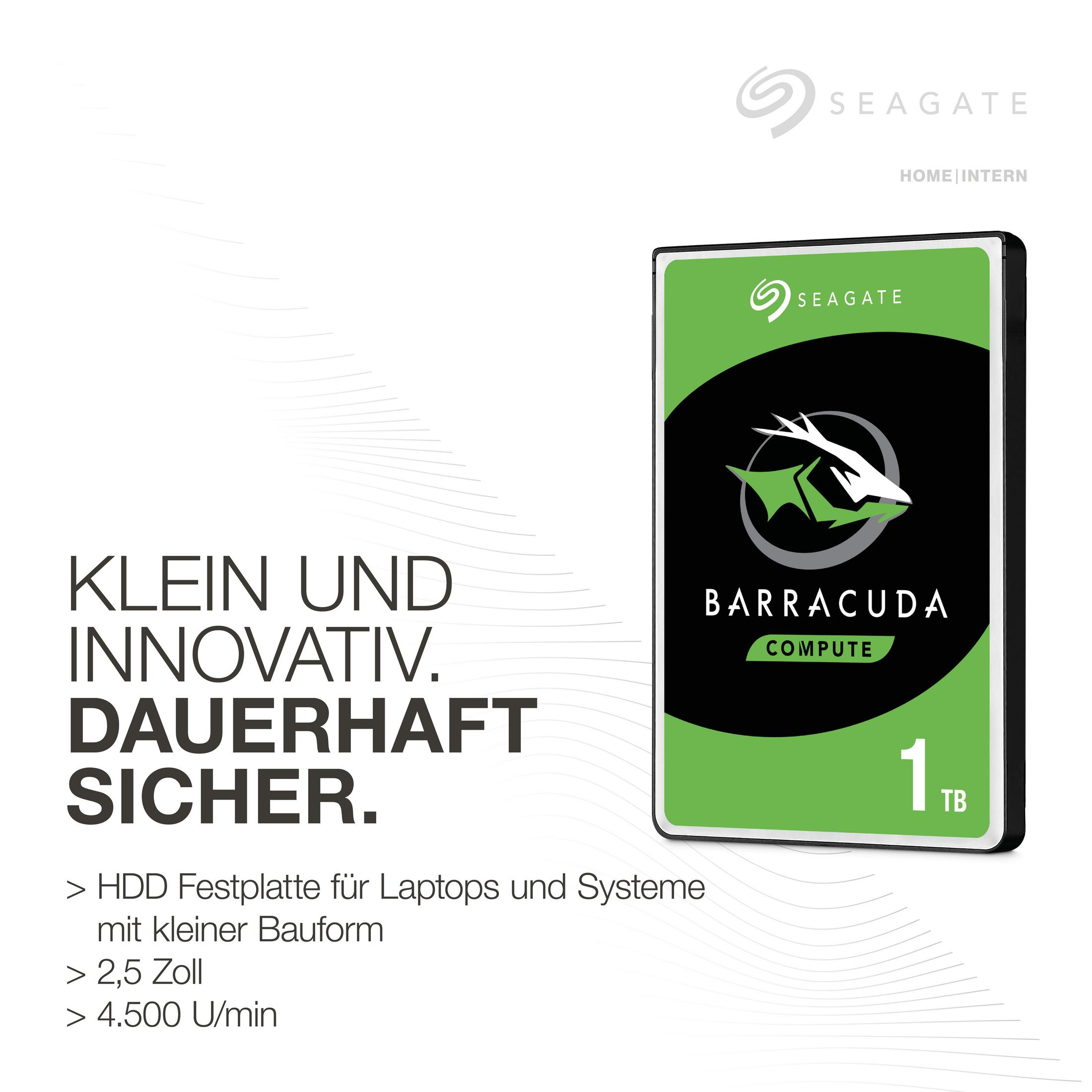 Seagate Barracuda Compute 1TB HDD. Das Laufwerk ist grün und schwarz, mit Text. Weißer Hintergrund.