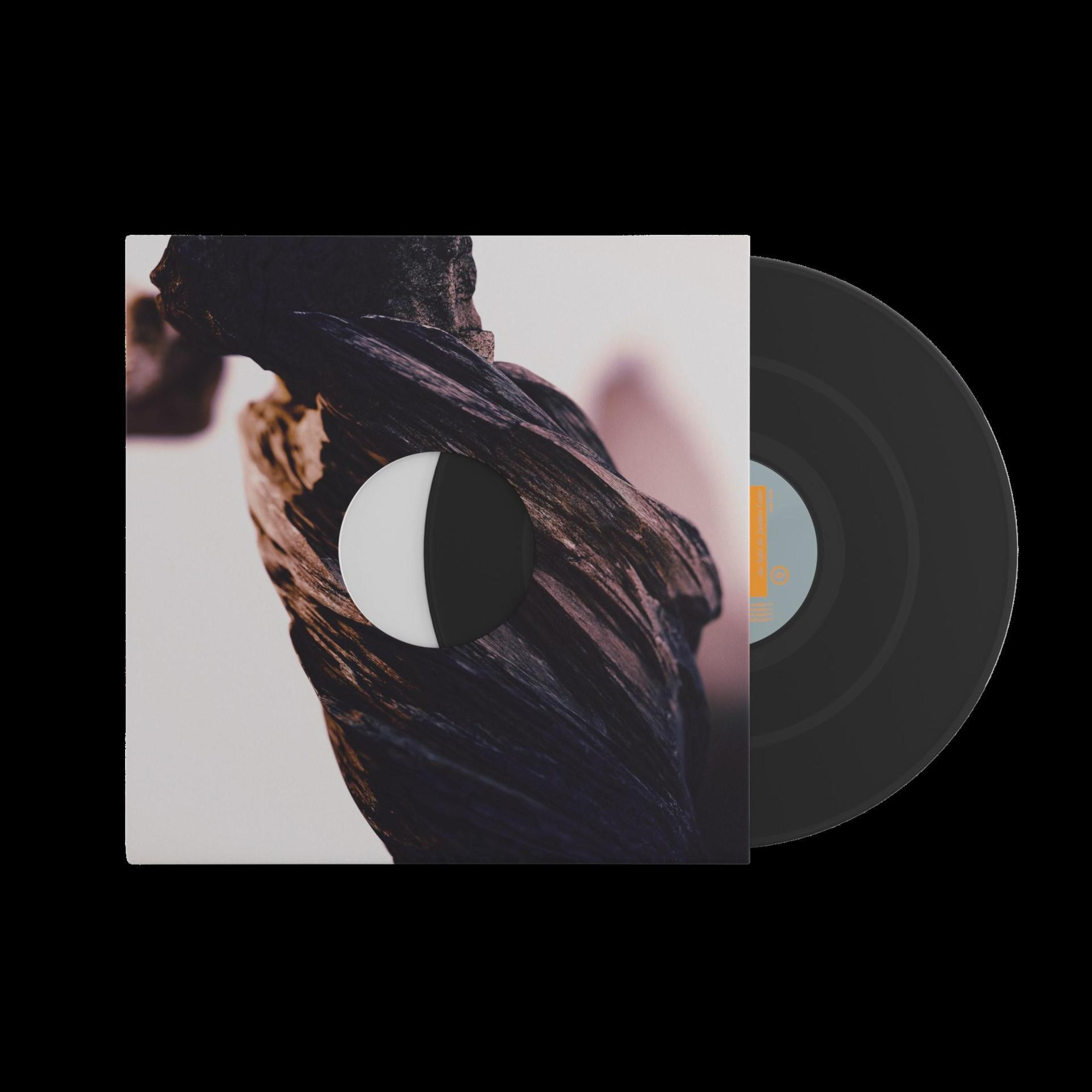 Disco de vinilo en una funda. La funda tiene un diseño en blanco y negro. El disco es negro.