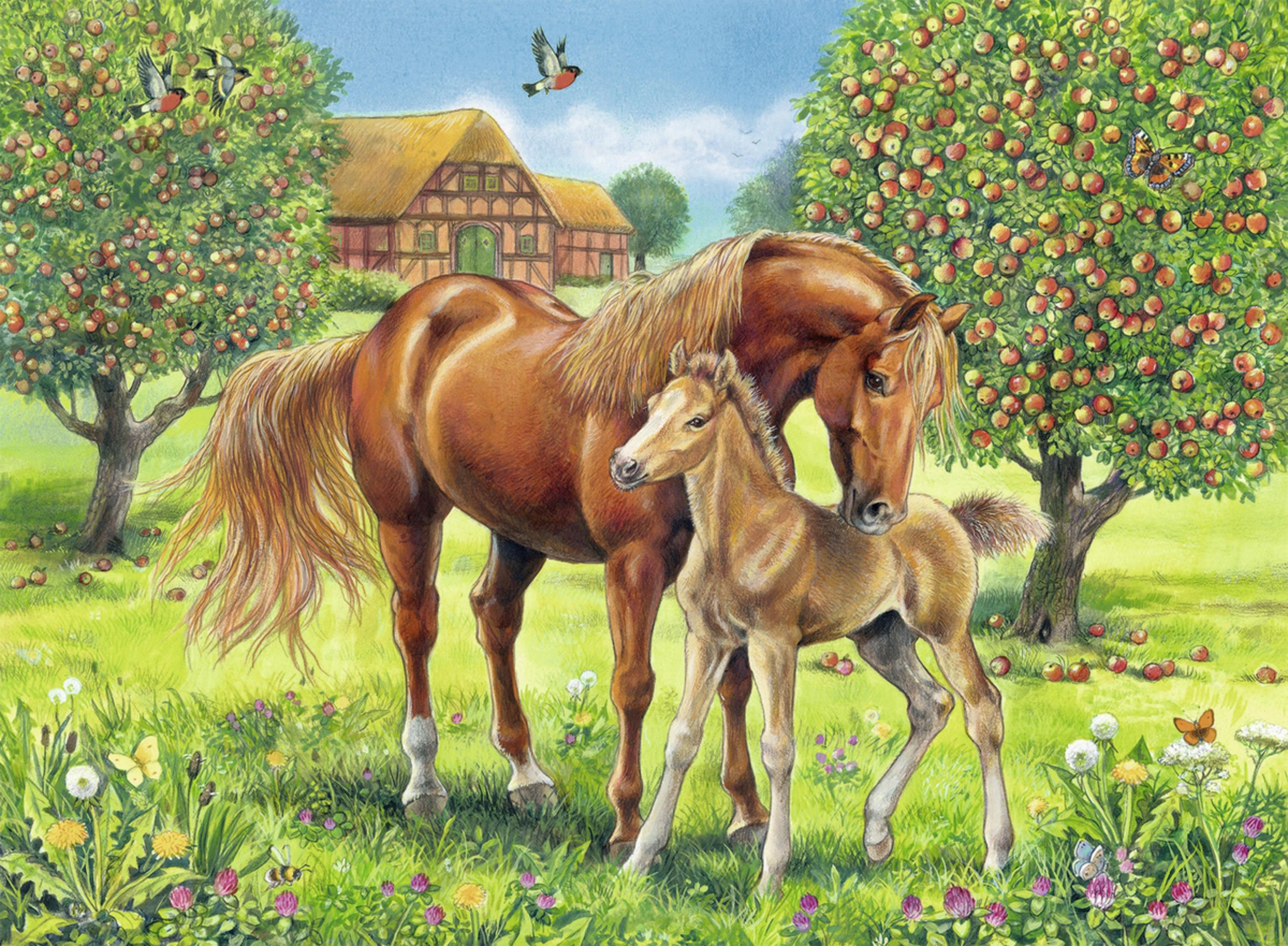 Due cavalli in un campo con alberi di mele. Una cavalla madre e un puledro sono i soggetti principali.