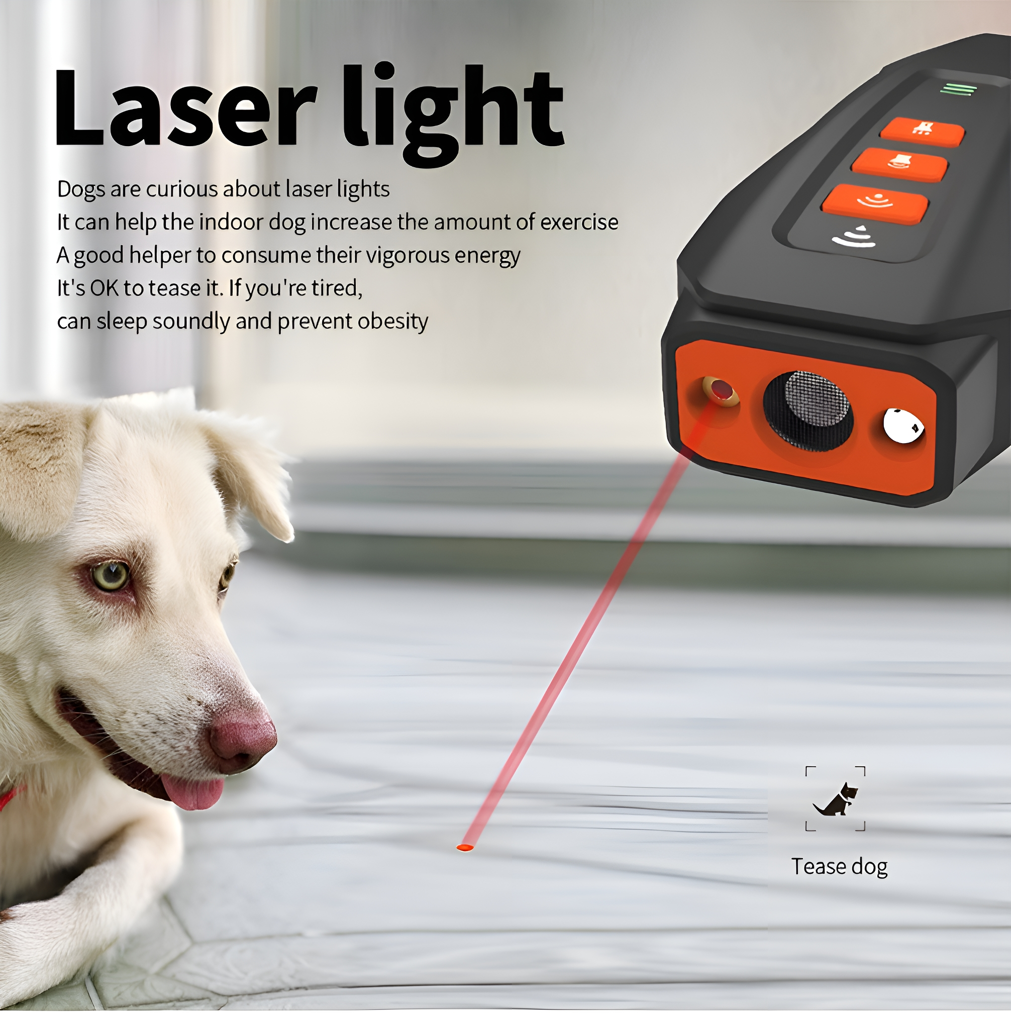 Ein Hund schaut auf einen Laserpointer. Ein Laserstrahl zeigt auf den Boden.
