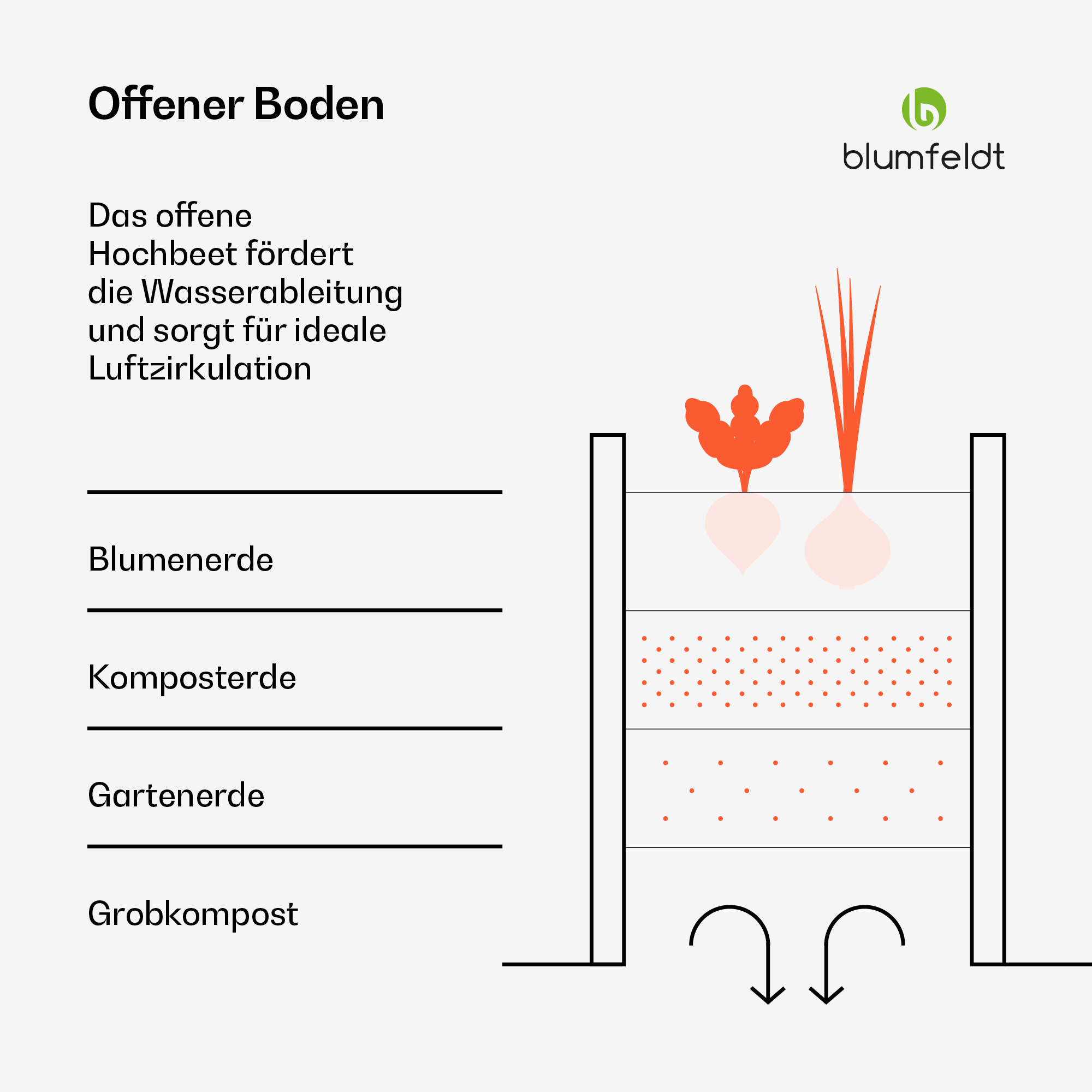 Diagramm eines Hochbeets mit Bodenschichten und Pflanzenillustrationen.