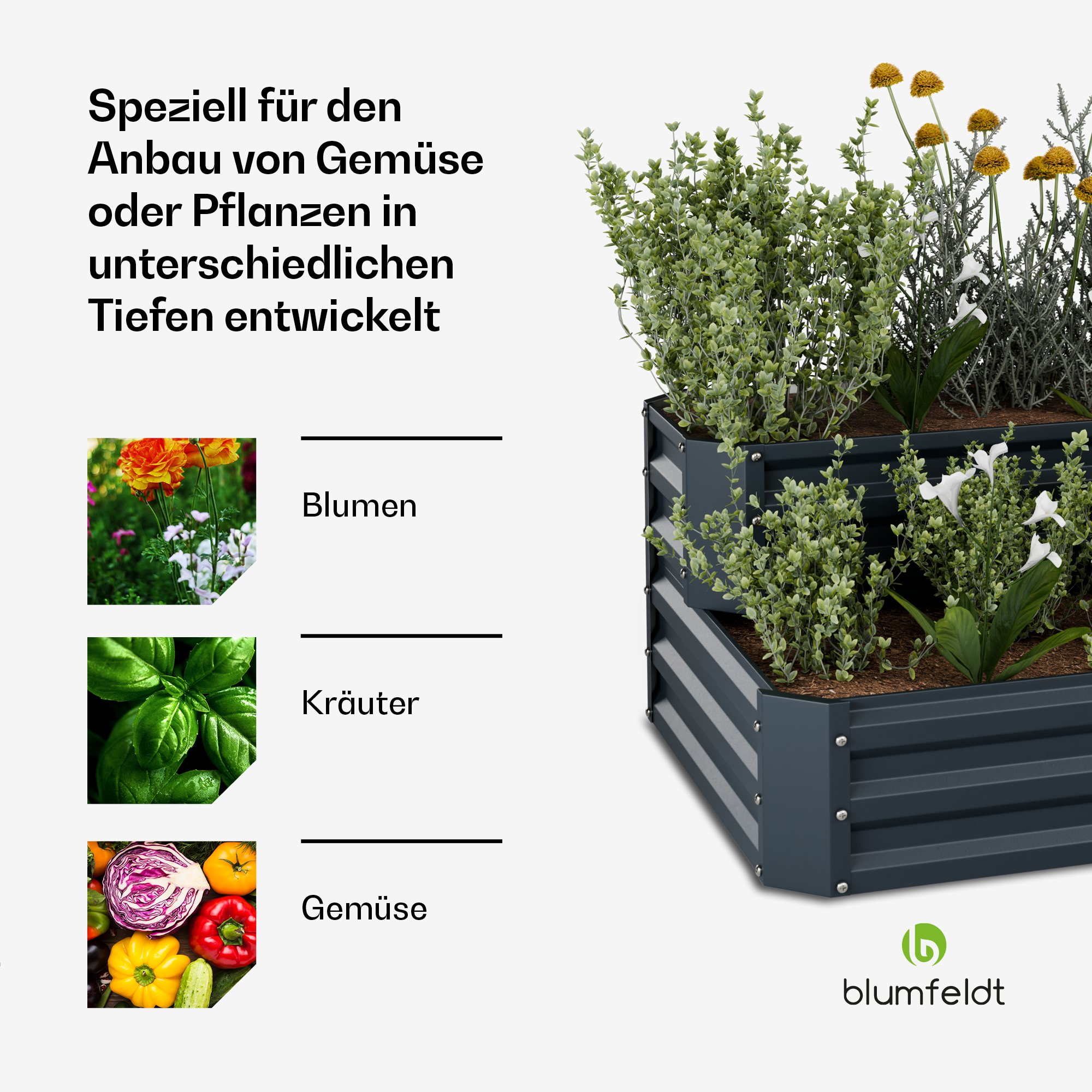 Ein mehrschichtiges Gartenbeet mit Pflanzen und Blumen und Text, der verschiedene Pflanztiefen beschreibt.