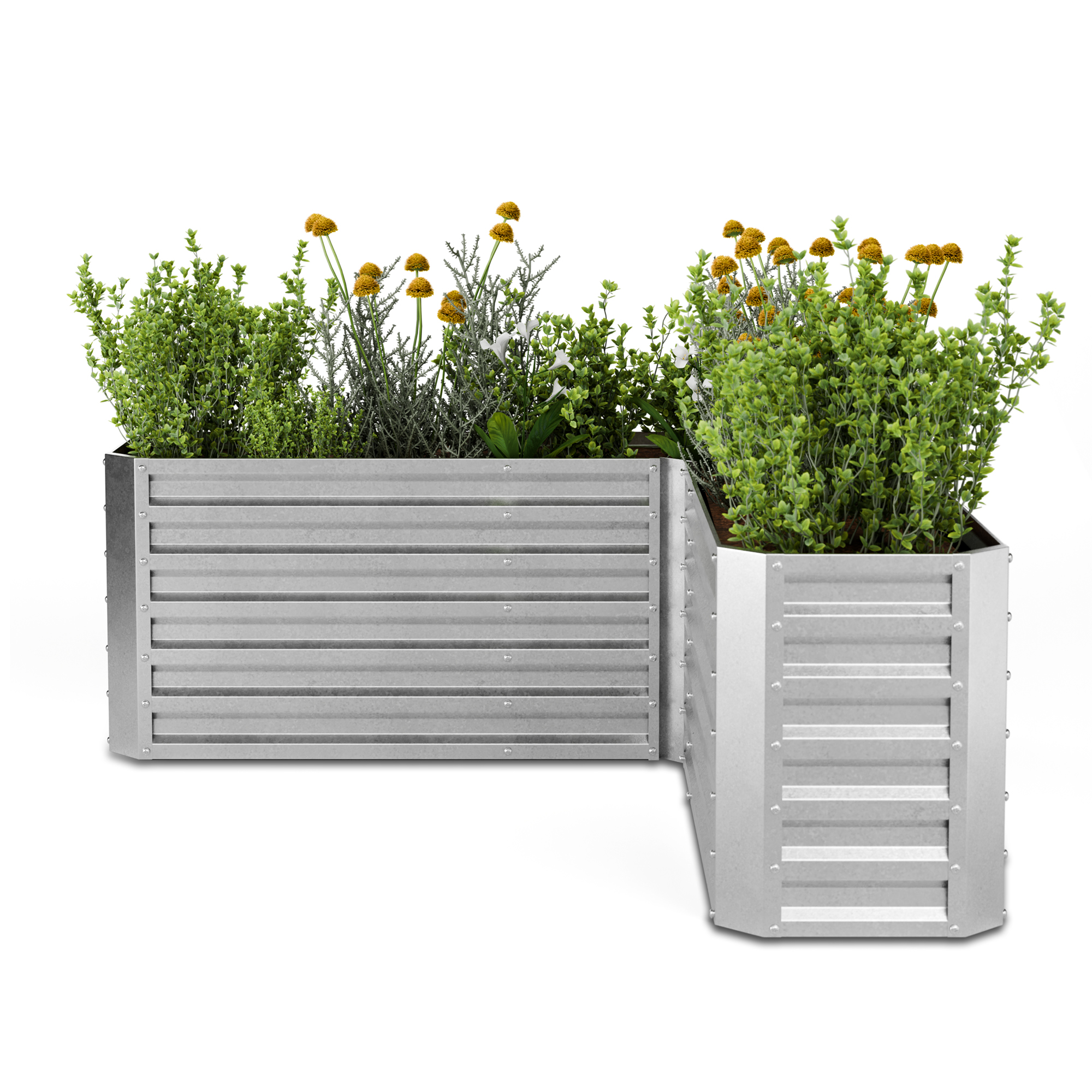 Zwei Metall-Gartenpflanzgefäße. Eines ist rechteckig und das andere L-förmig, beide mit Pflanzen und Kräutern gefüllt.