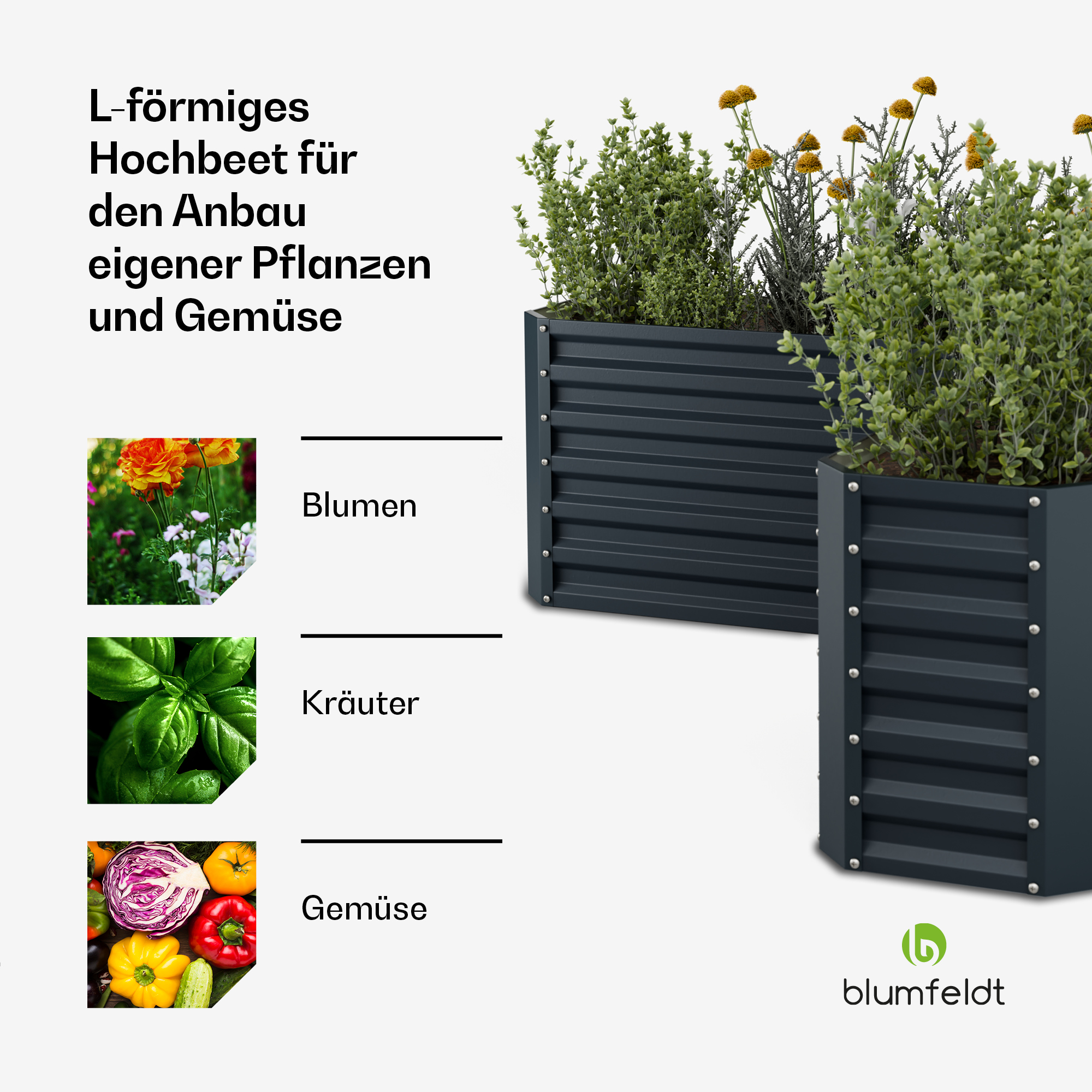 Zwei dunkelgraue Hochbeete mit Blumen, Kräutern und Gemüse.