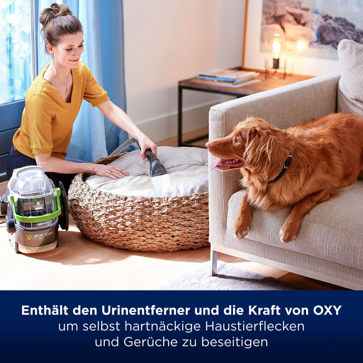 Frau reinigt ein Hundebett mit einem Fleckenreiniger, ein Hund in der Nähe.