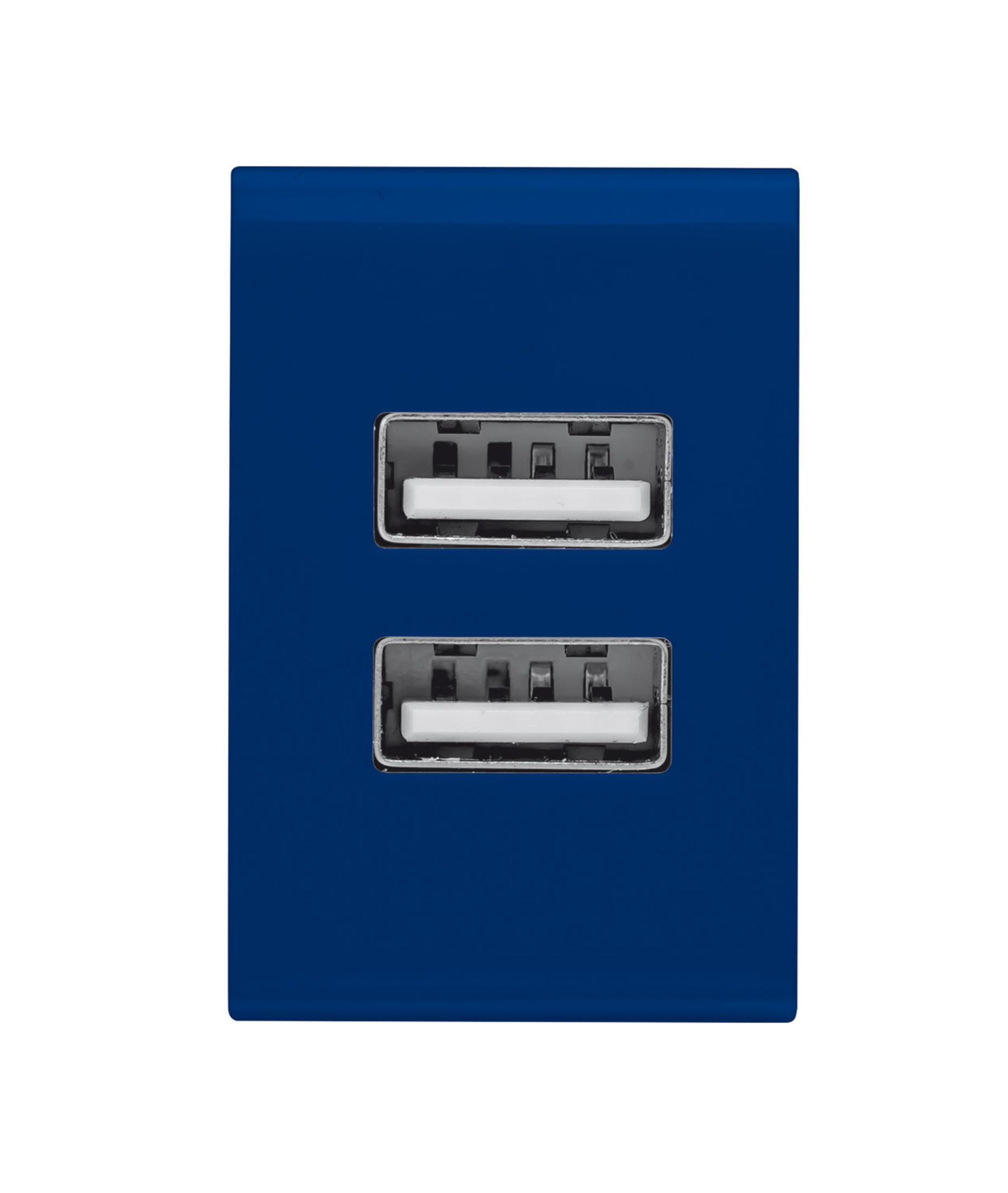Blaue Steckdose mit zwei USB-Anschlüssen. Weiße USB-Anschlüsse sind im blauen Rahmen sichtbar.