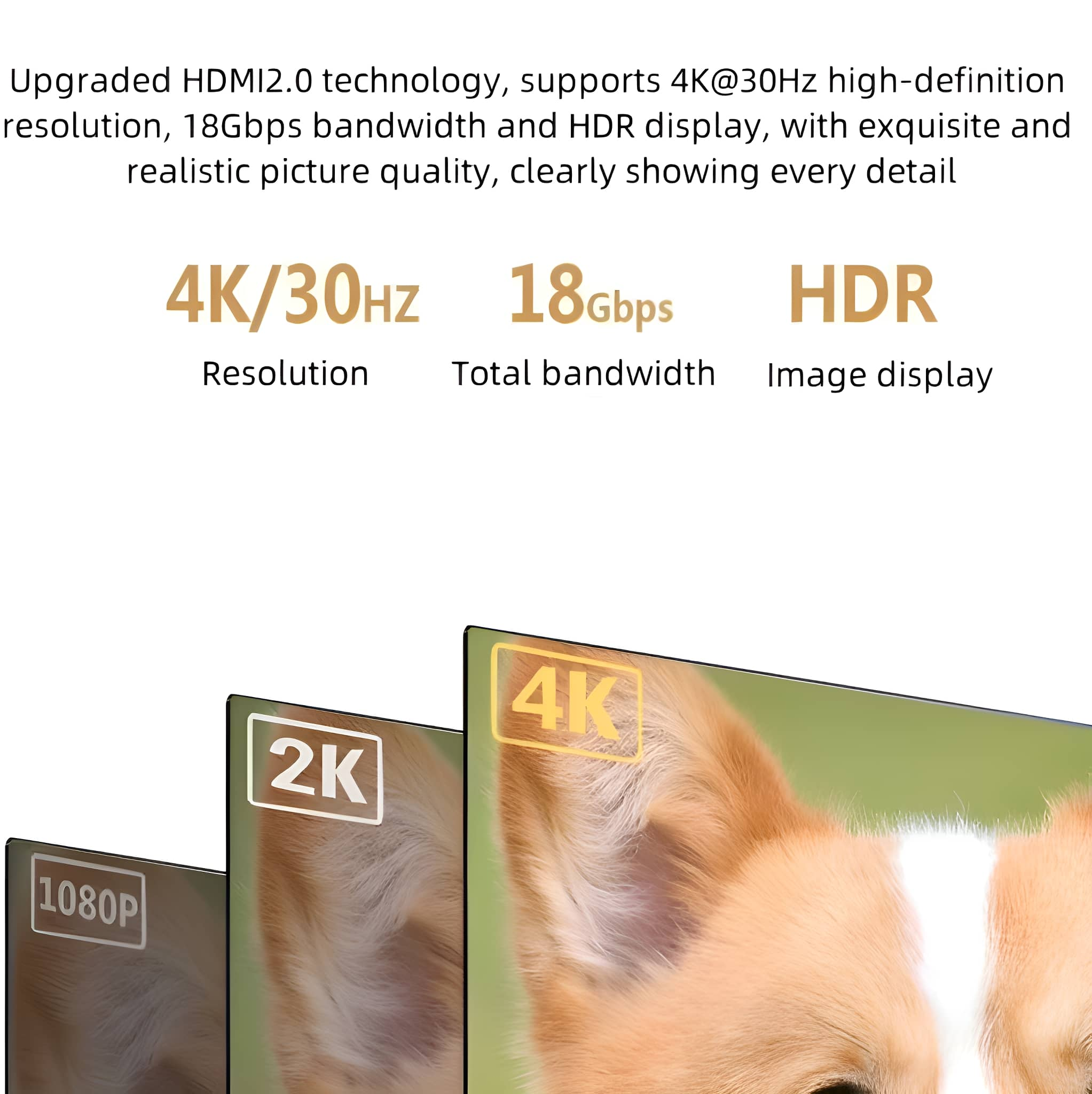 Bildschirme, die 1080p, 2K und 4K Auflösung mit einem Hundegesicht zeigen, Bildqualität.