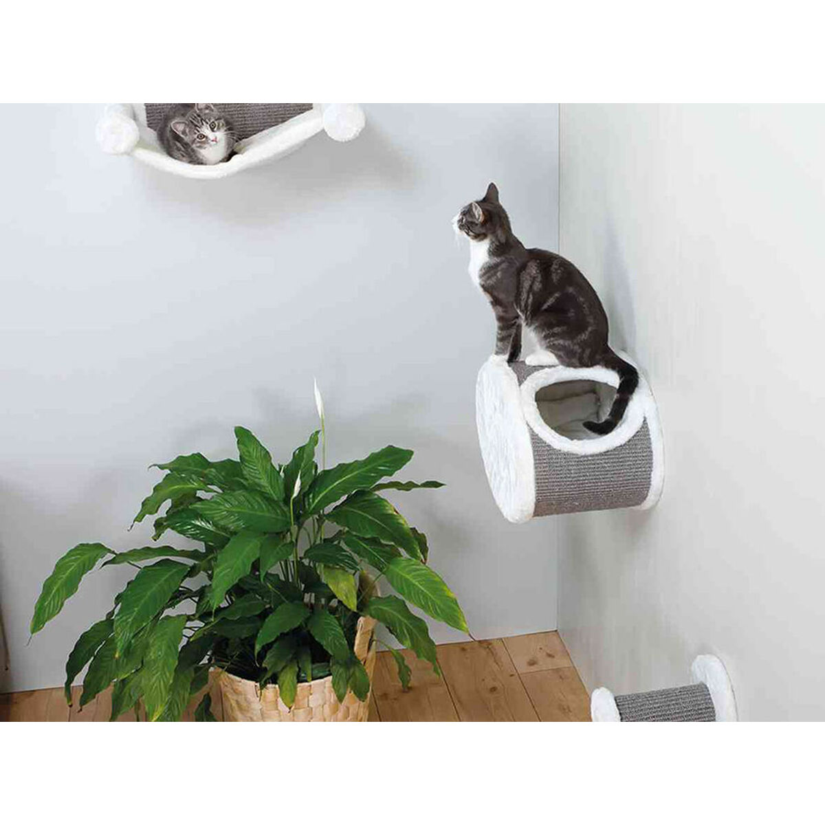 Dos gatos en muebles para gatos. Uno en una hamaca, otro en una repisa de pared, junto a una planta.