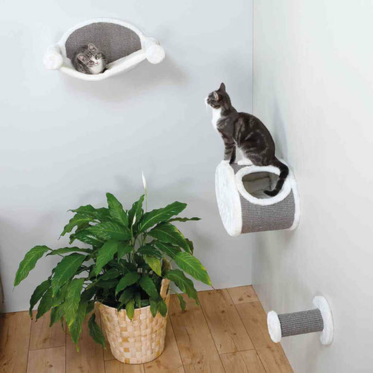 Dos gatos en muebles para gatos montados en una pared con una planta en una cesta en el suelo.