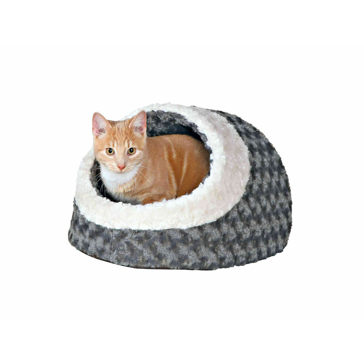 Gatto tabby arancione in una cuccia grigia e bianca. Sfondo bianco.