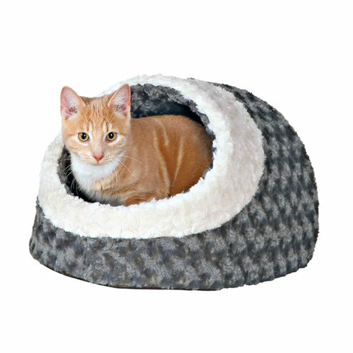 Gatto tabby arancione in una cuccia grigia e bianca.