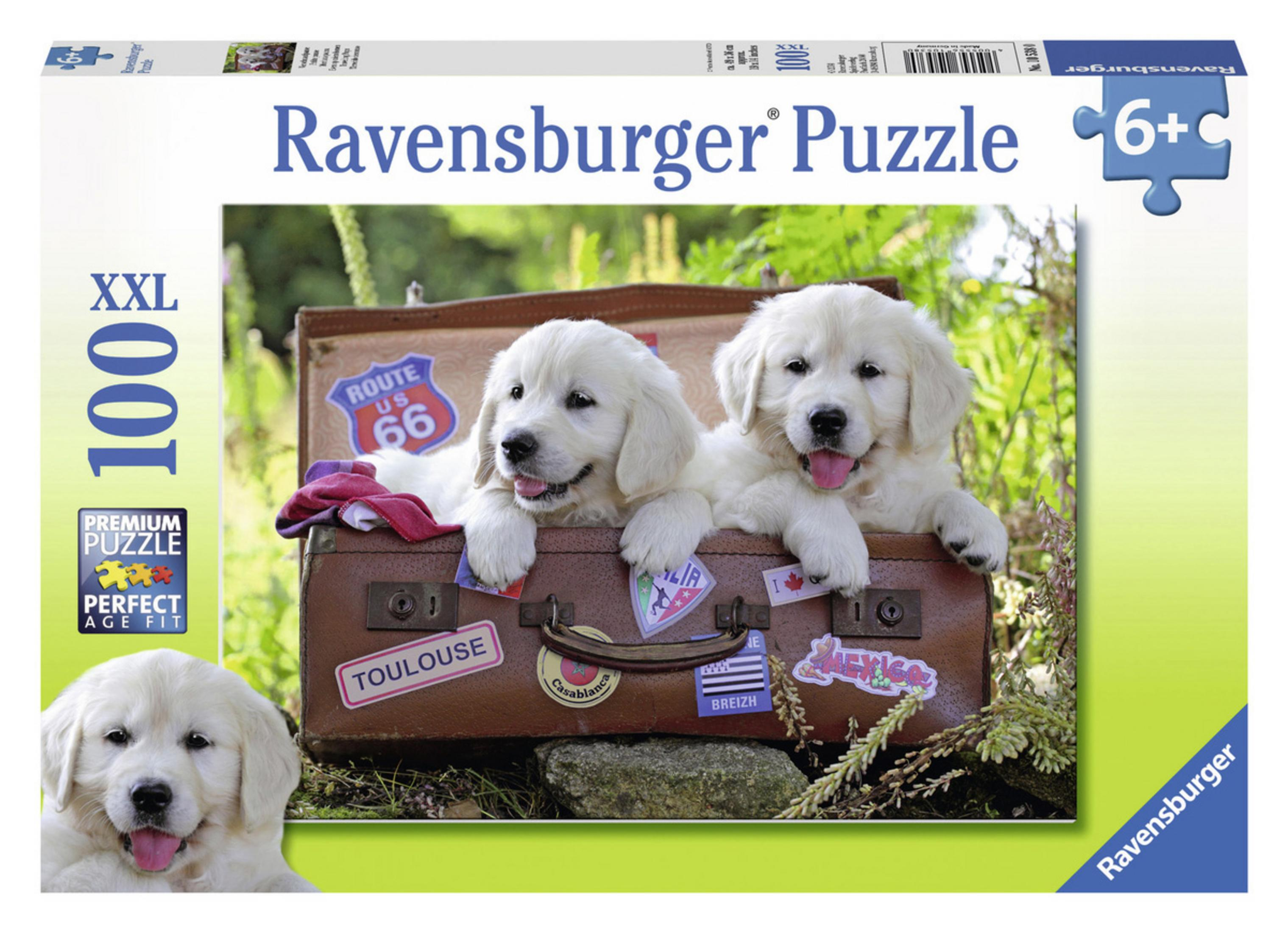 Una scatola di puzzle con un'immagine di cuccioli in una valigia. Sfondo bianco.