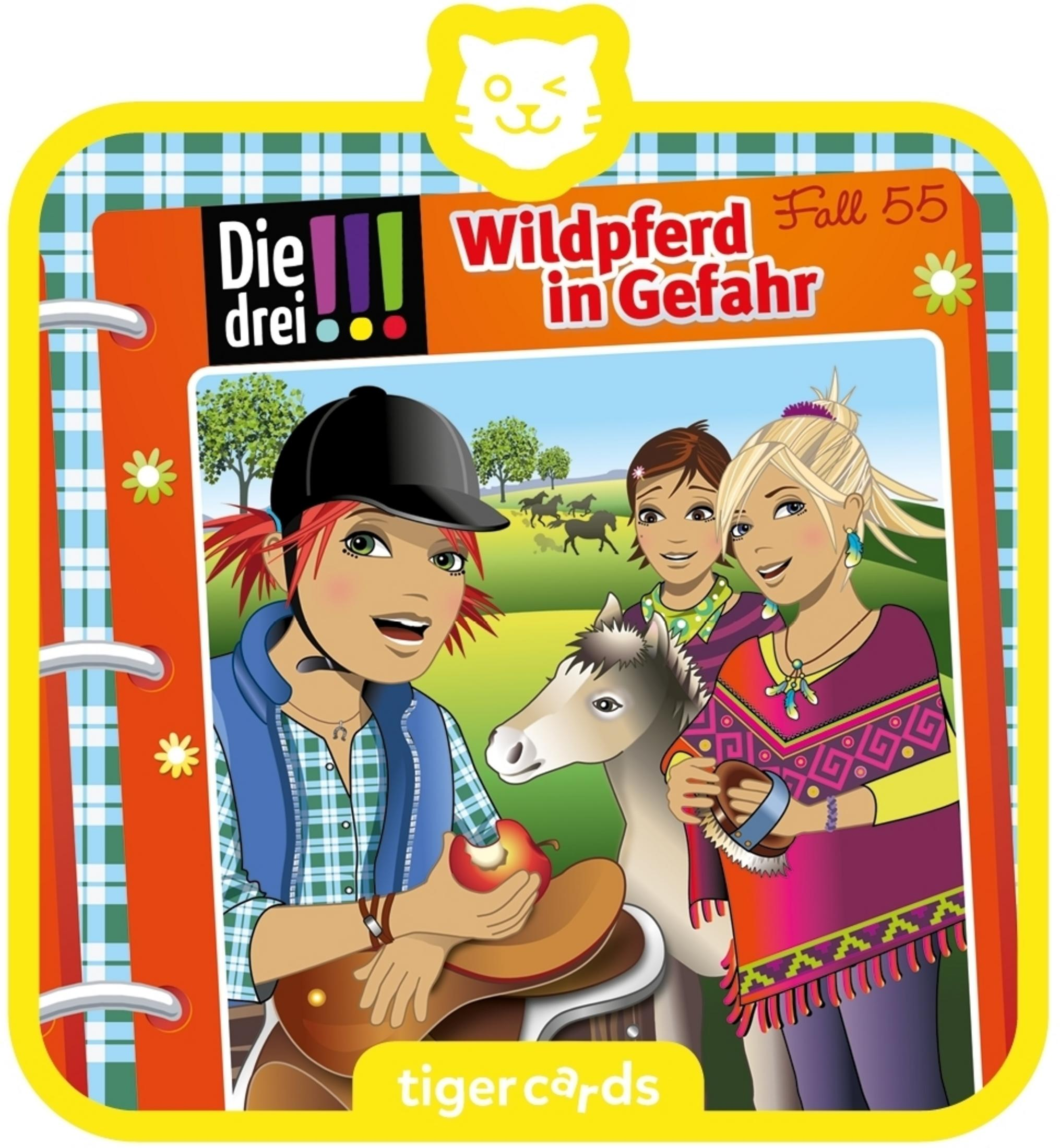 Buchcover mit drei Mädchen und einem Pony. Rot-oranger Hintergrund. Tiger Cards Logo oben.