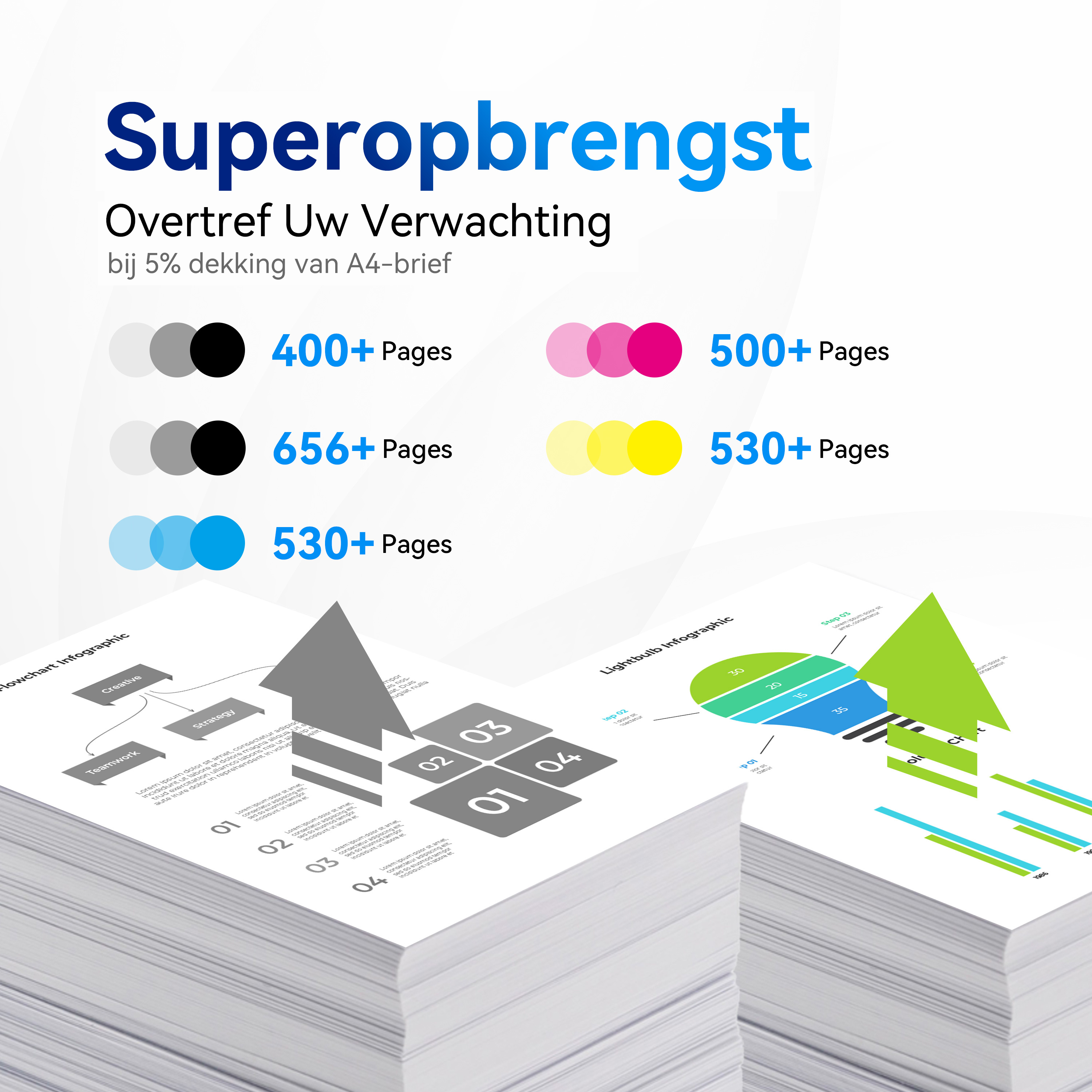Infographic met tekst die paginaopbrengsten met verschillende kleuren en diagrammen toont.