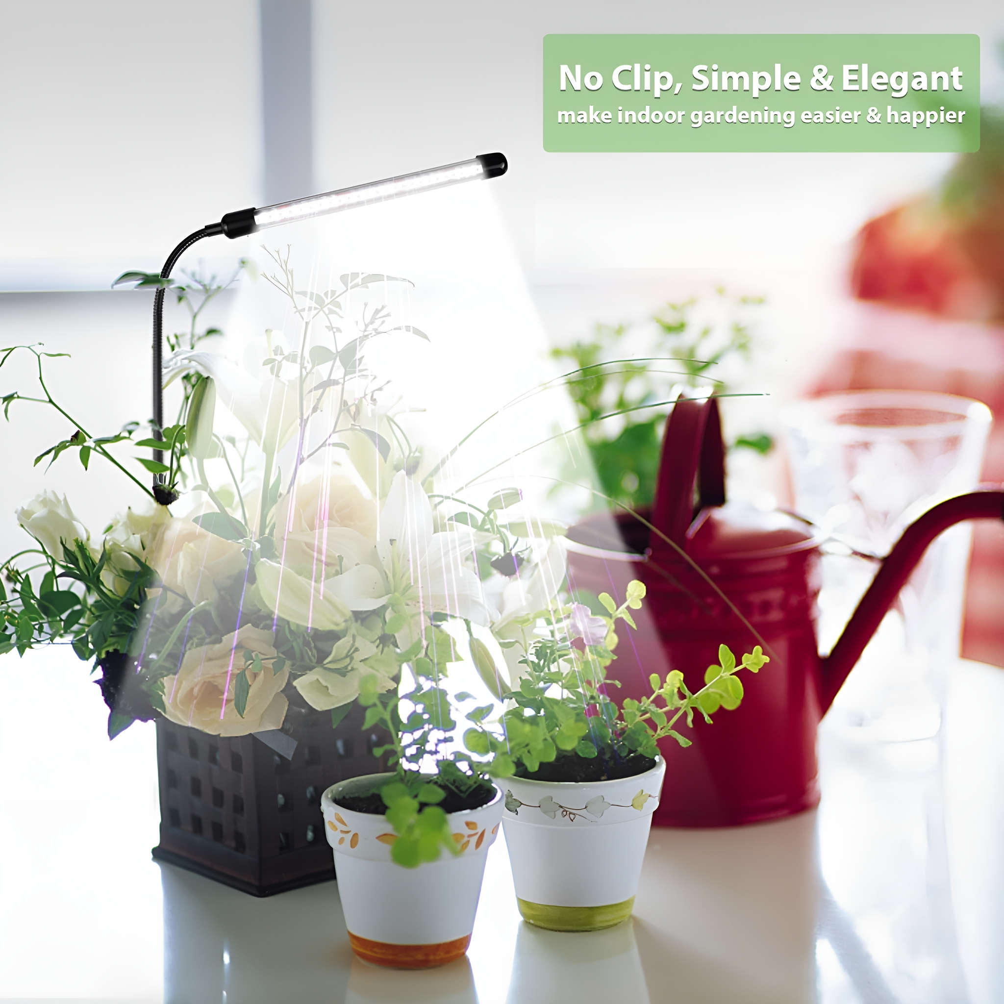 Indoor-Gartenanlage. Eine Pflanzenlampe beleuchtet Blumen und Pflanzen in Töpfen. Eine rote Gießkanne ist da.