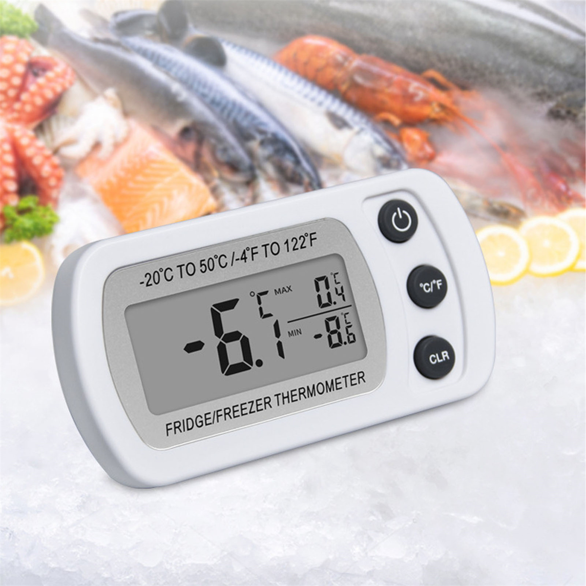 Ein Kühl-/Gefrierschrankthermometer zeigt -6,1°C an. Im Hintergrund Meeresfrüchte: Fisch, Hummer und Lachs, auf Eis mit Zitronenscheiben.