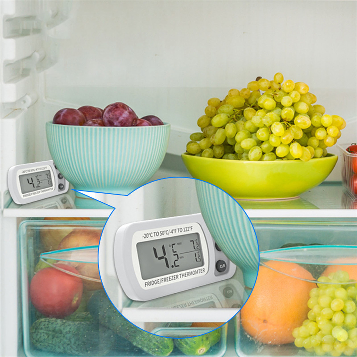 Ein Kühlschrank mit zwei Schalen Obst und einem Thermometer. Trauben und Pflaumen sind sichtbar.