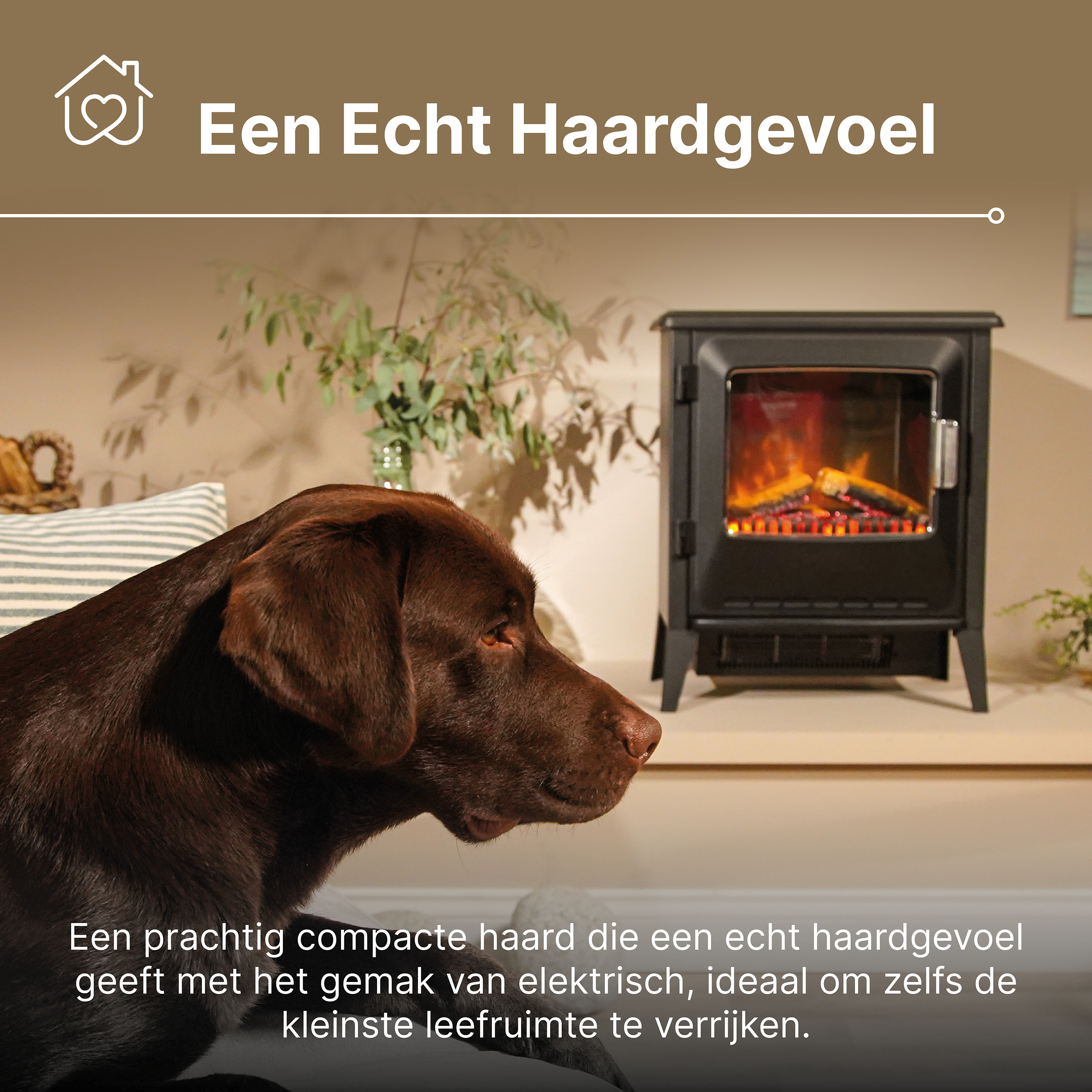 Hond kijkt naar een open haard. Een chocolade lab en een zwarte open haard met nepvlammen. Tekst over elektrische haarden.