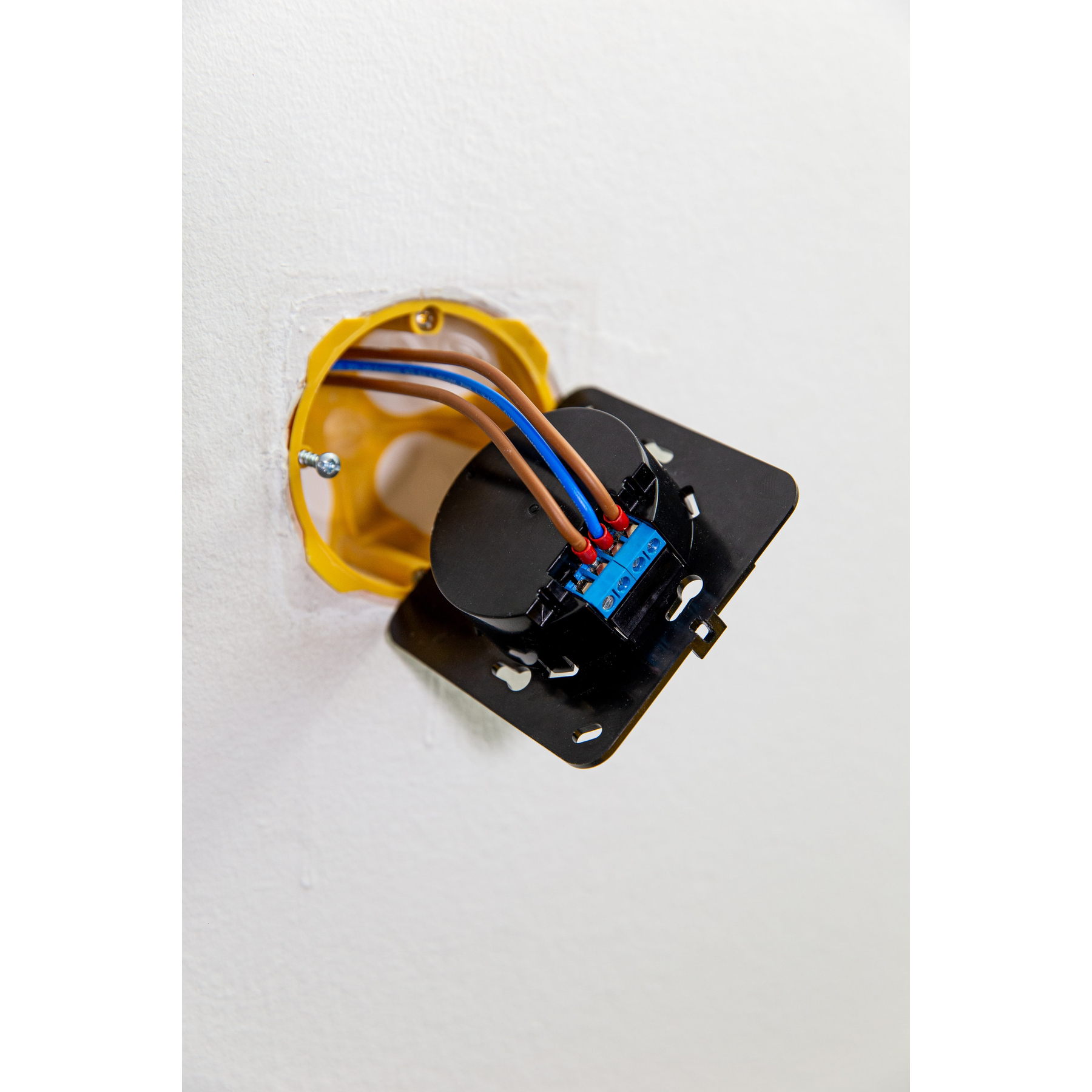 Caja eléctrica abierta con cables conectados a una regleta, montada en una pared blanca.