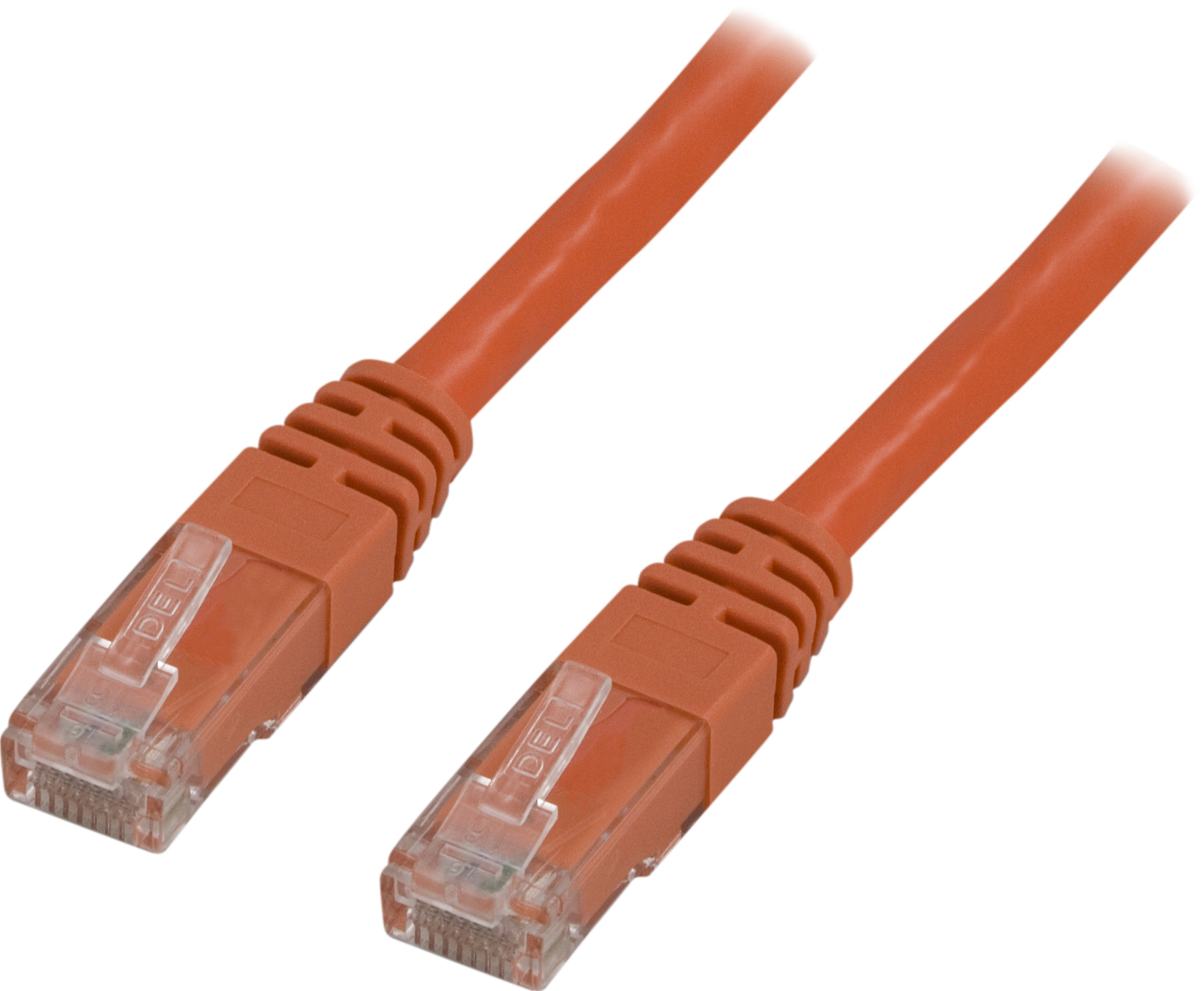 Due cavi Ethernet arancioni con connettori. Sono luminosi e sembrano nuovi, adatti all'uso in rete.