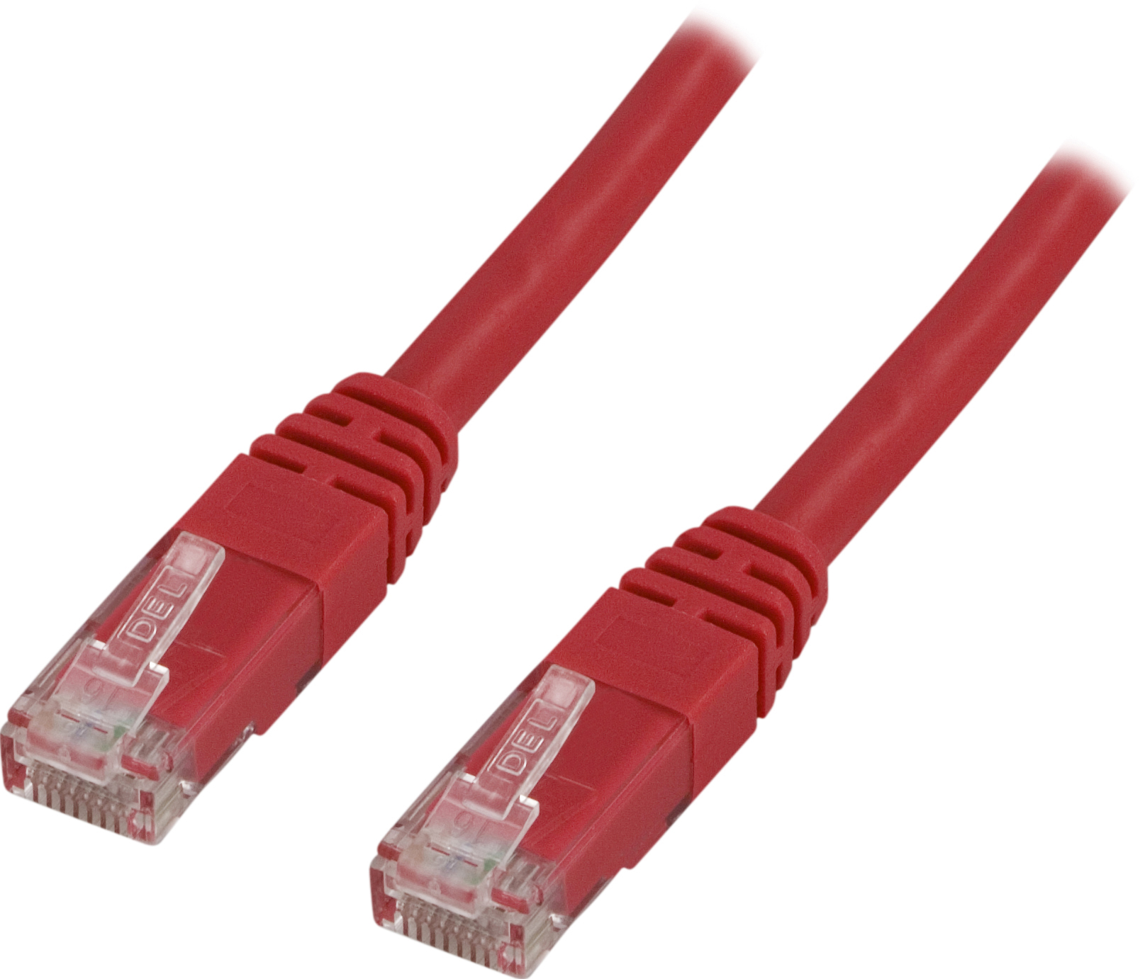 Cavo Ethernet rosso con connettori trasparenti su sfondo bianco.