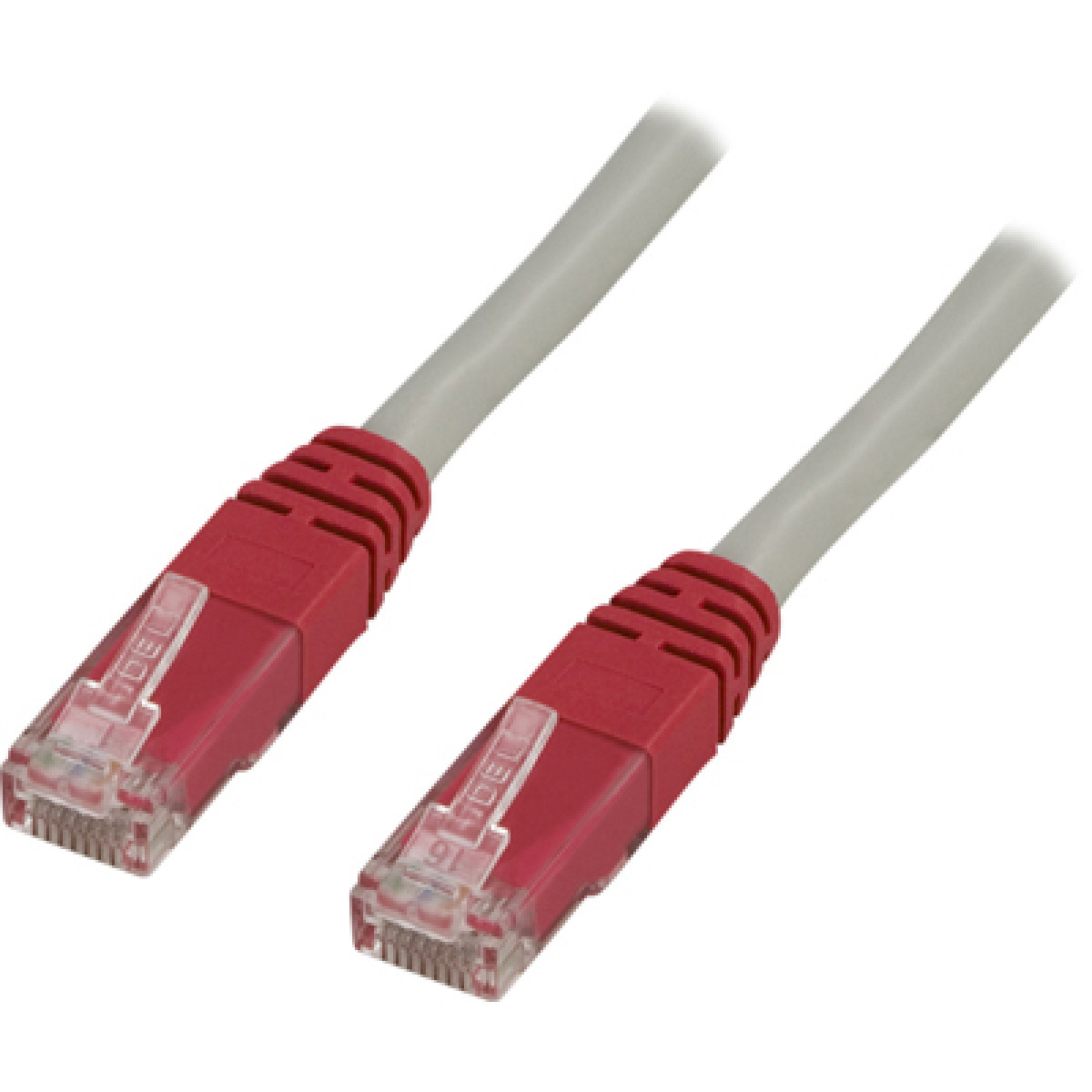 Due cavi di rete RJ45 rossi con connettori trasparenti, cavo grigio. Sfondo bianco.