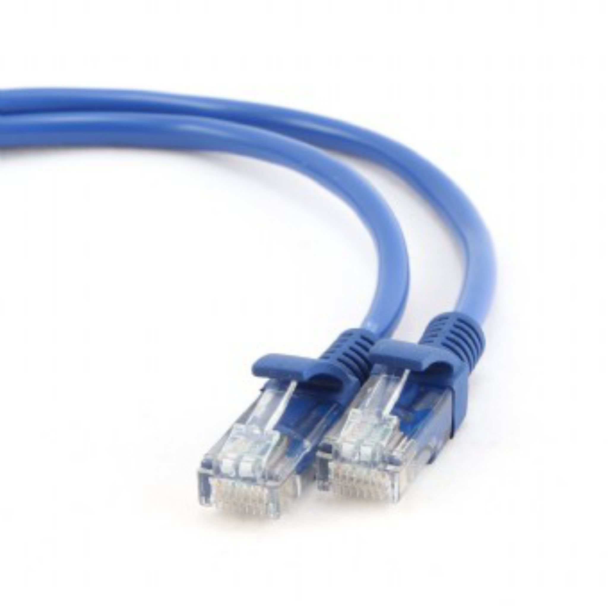 Blauwe ethernetkabel met blauwe connectoren op een witte achtergrond.