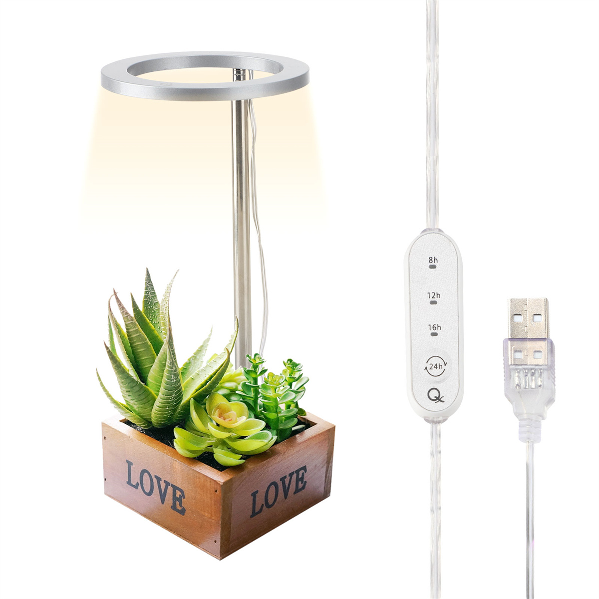 Eine Pflanze mit Wachstumslampe und USB-Kabel. Holzbox mit "LOVE"-Text.