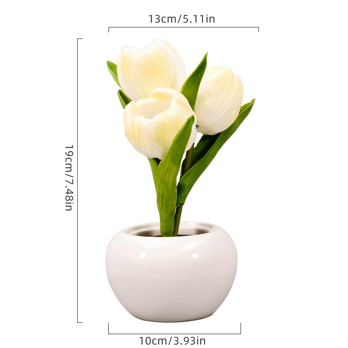 Eine weiße Vase mit drei weißen Tulpen, mit Maßen von 19 cm, 13 cm und 10 cm.