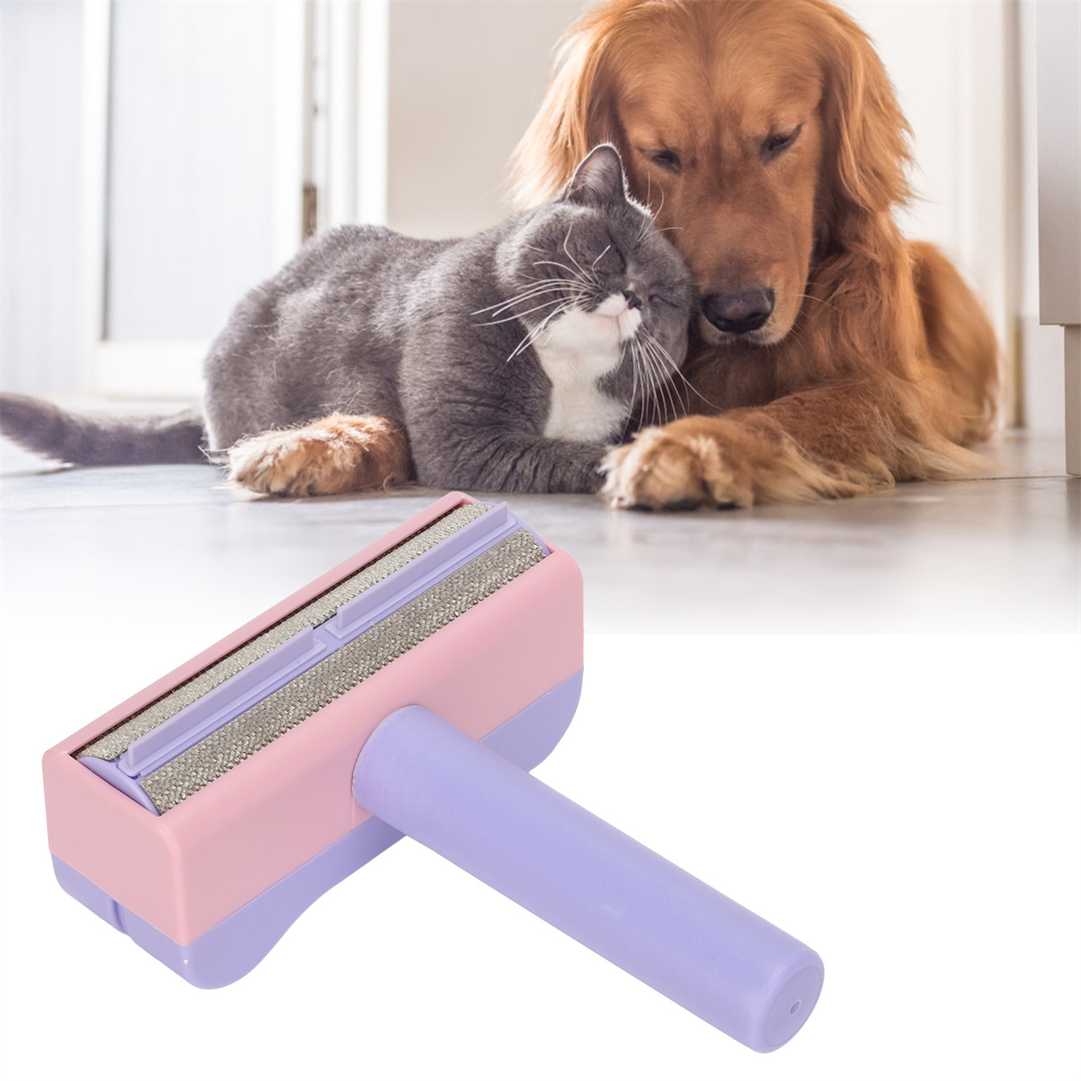 Katze und Hund kuscheln. Tierhaarentferner im Vordergrund.