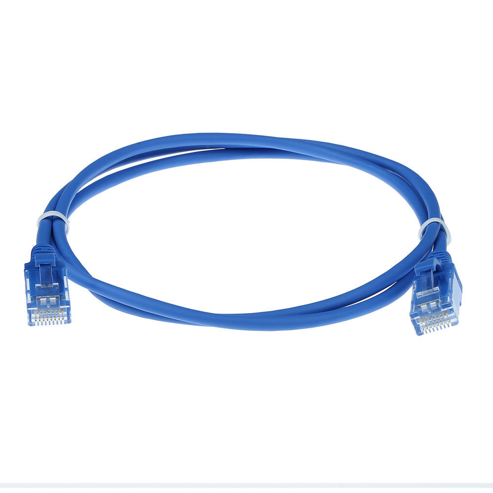 Cavo Ethernet blu con connettori su entrambe le estremità, sfondo bianco.