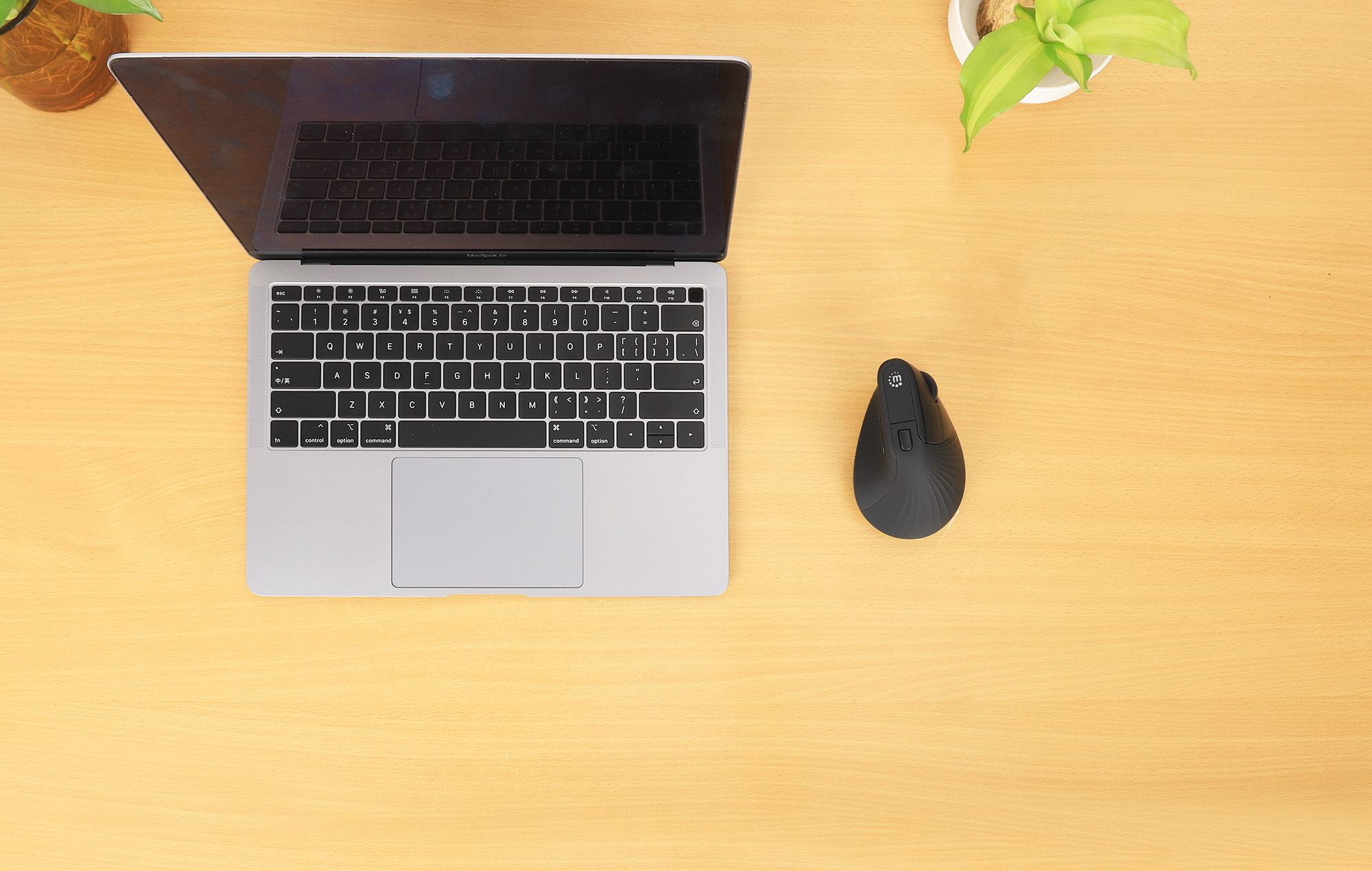 Laptop i czarna ergonomiczna mysz na jasnym drewnianym biurku. Rośliny po bokach.