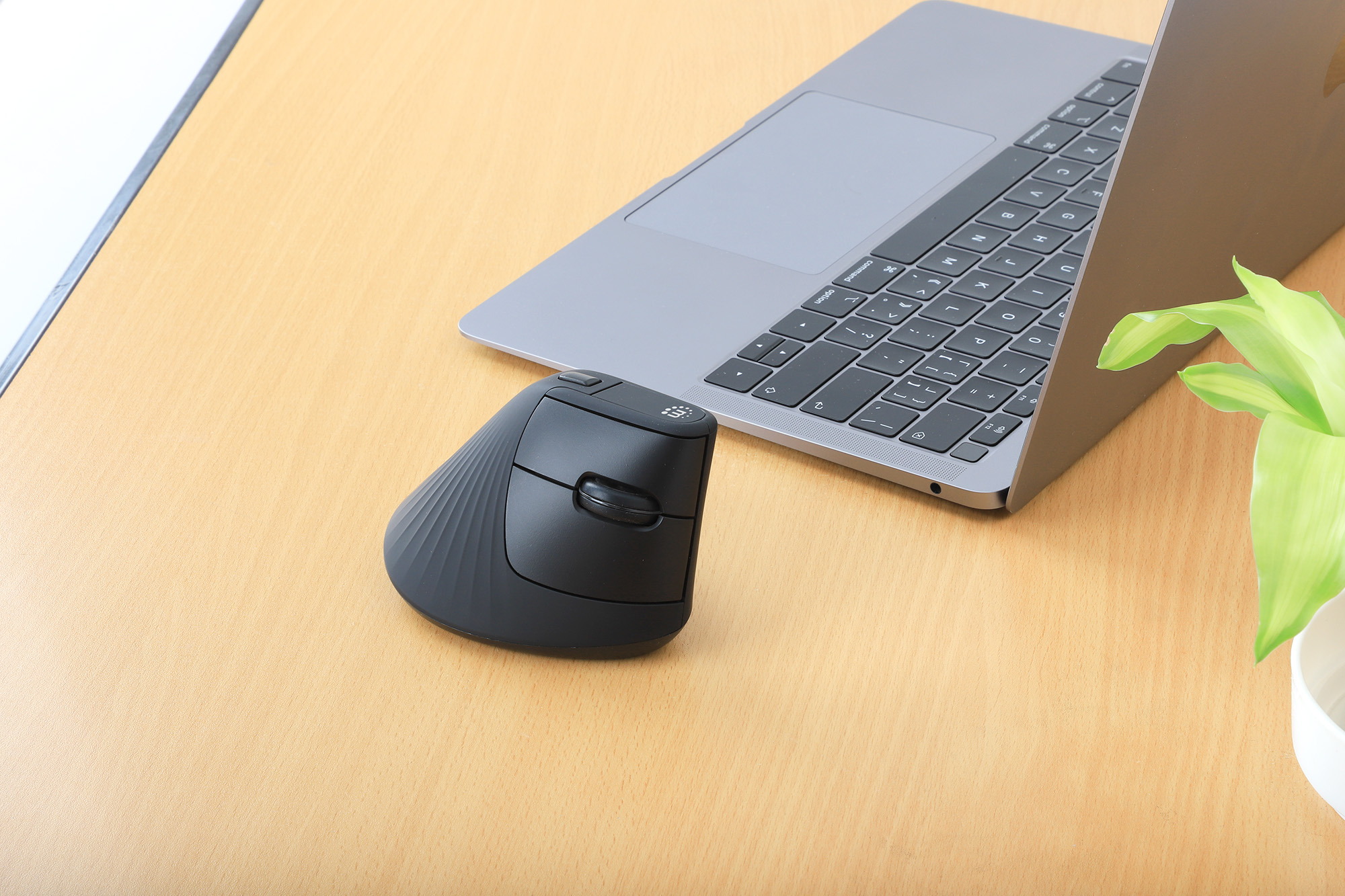 Niebiesko-czarna mysz komputerowa HP na białej powierzchni.