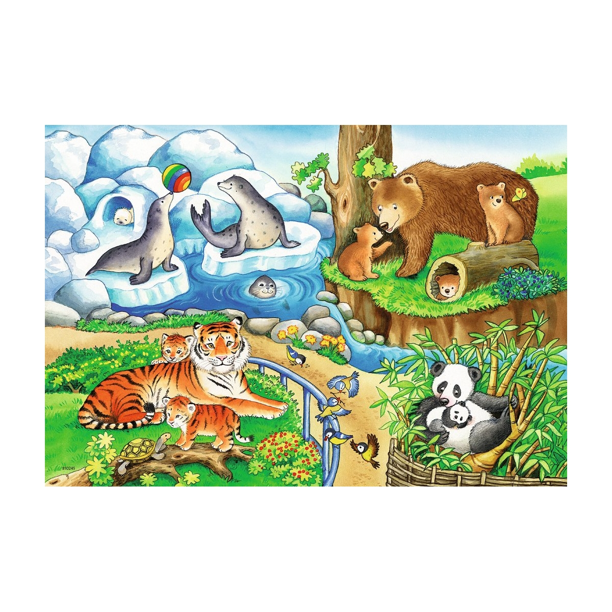 Scena dello zoo con foche, famiglia di orsi, tigre, panda e uccelli colorati.