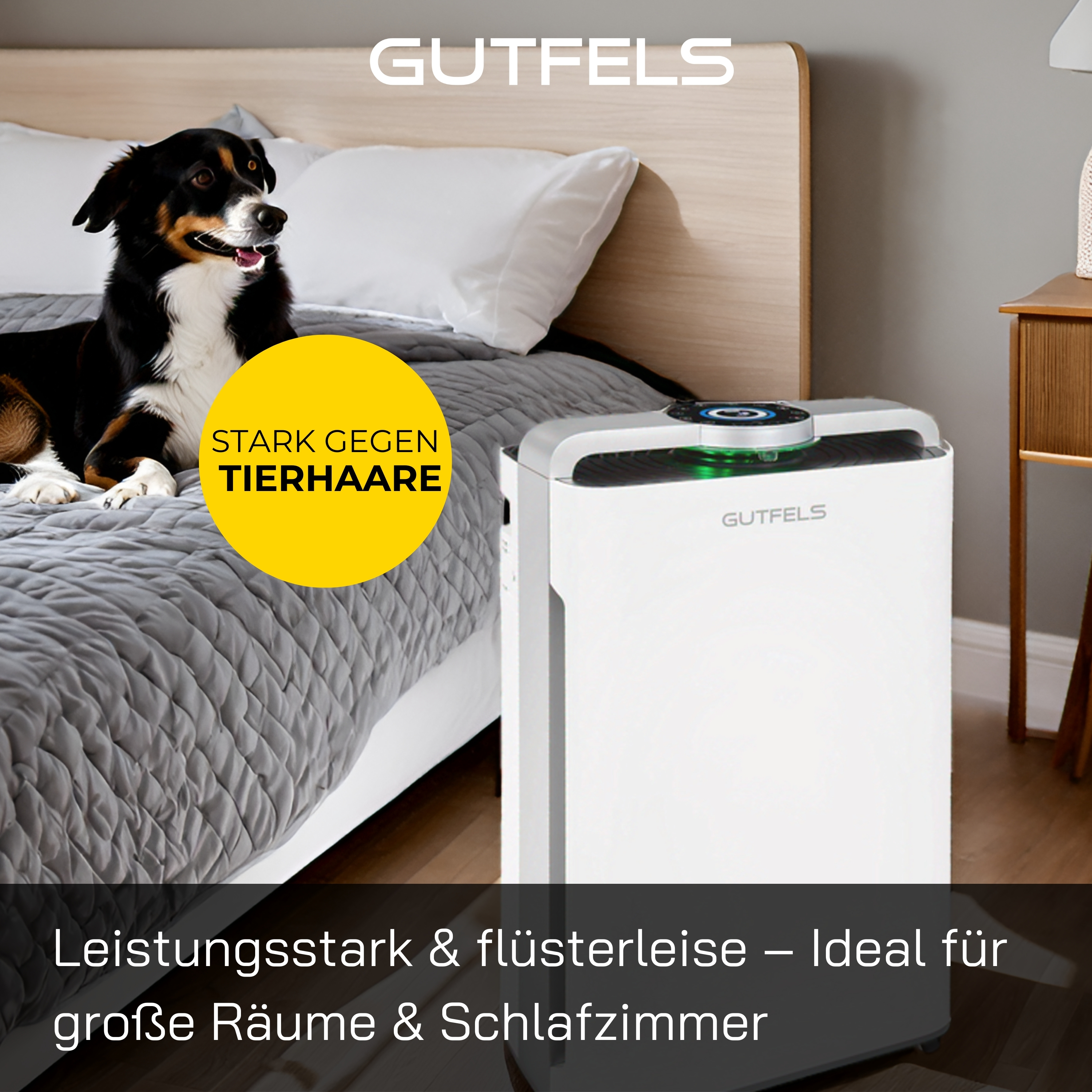 Ein Hund auf einem Bett mit Luftreiniger und Textüberlagerung.