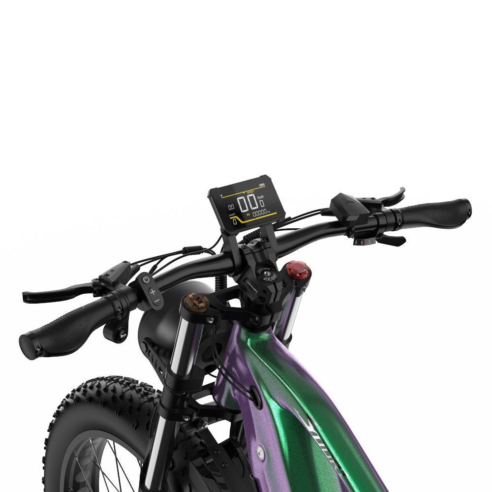 Nahaufnahme des E-Bike-Lenkers mit Display, Bedienelementen und Scheinwerfer. Lila-grünes Fahrrad, schwarze Details.