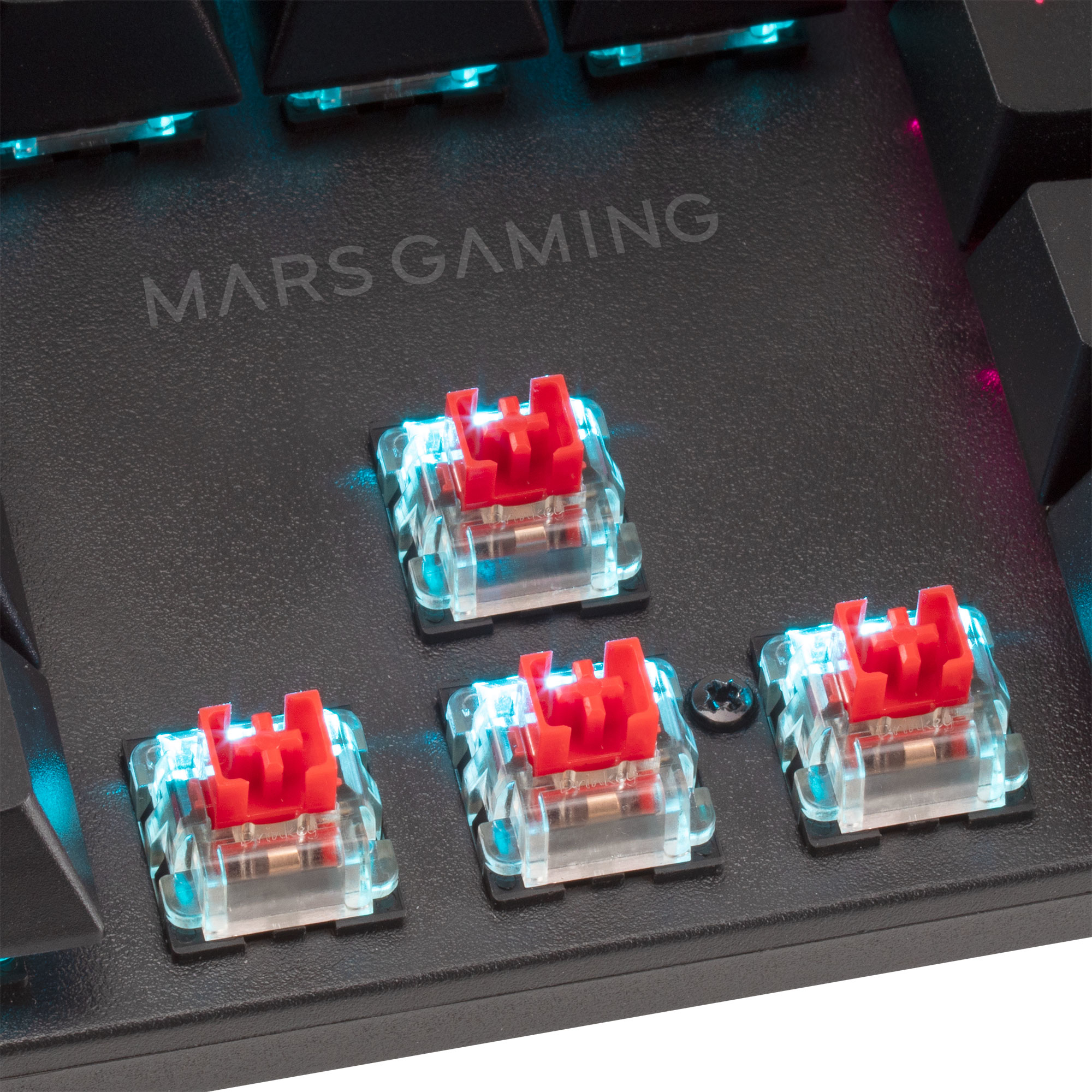 Nahaufnahme einer Gaming-Tastatur. Rote Schalter sind auf der schwarzen Oberfläche sichtbar.