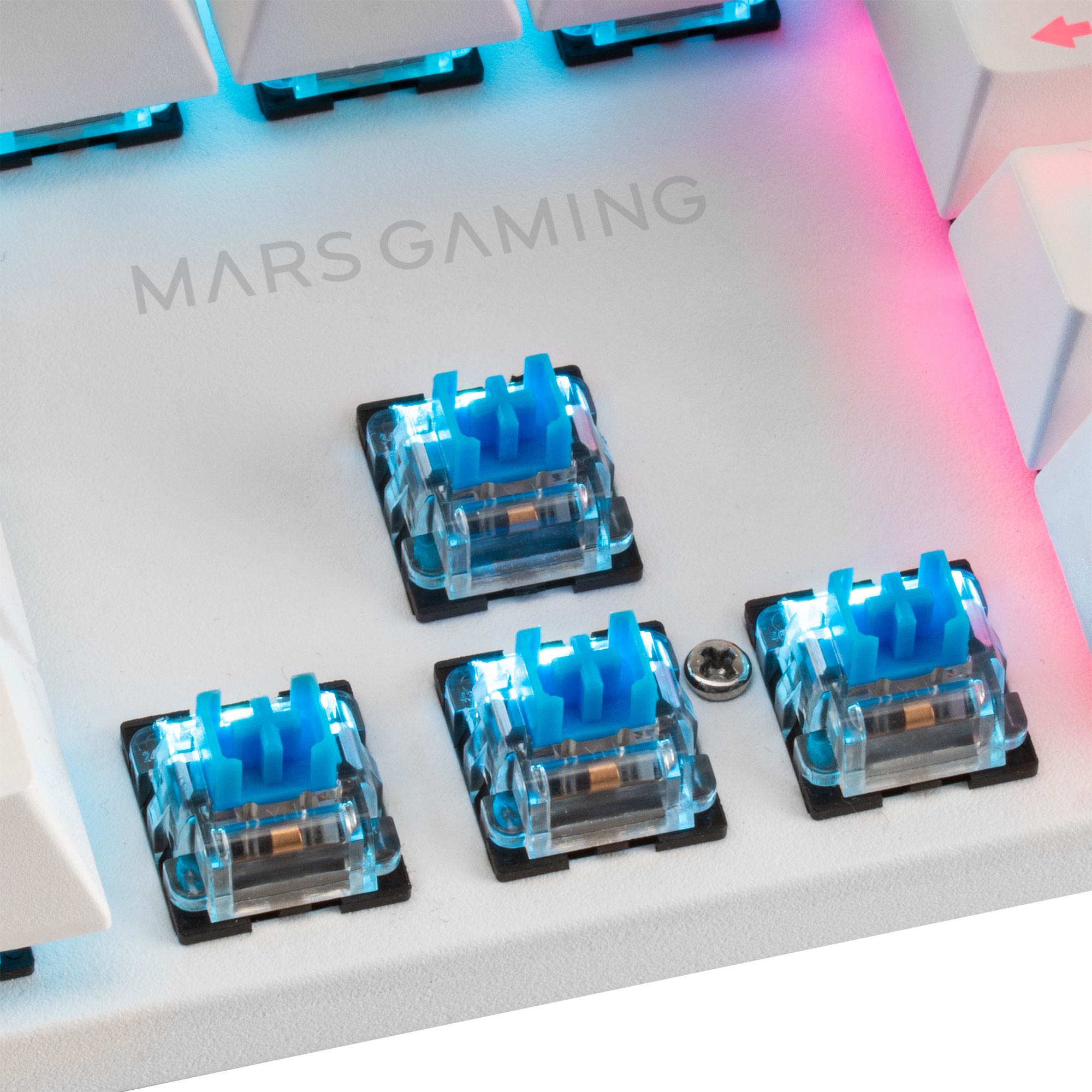 Vista de cerca de interruptores de teclado. Cuatro interruptores azules con tapas transparentes.