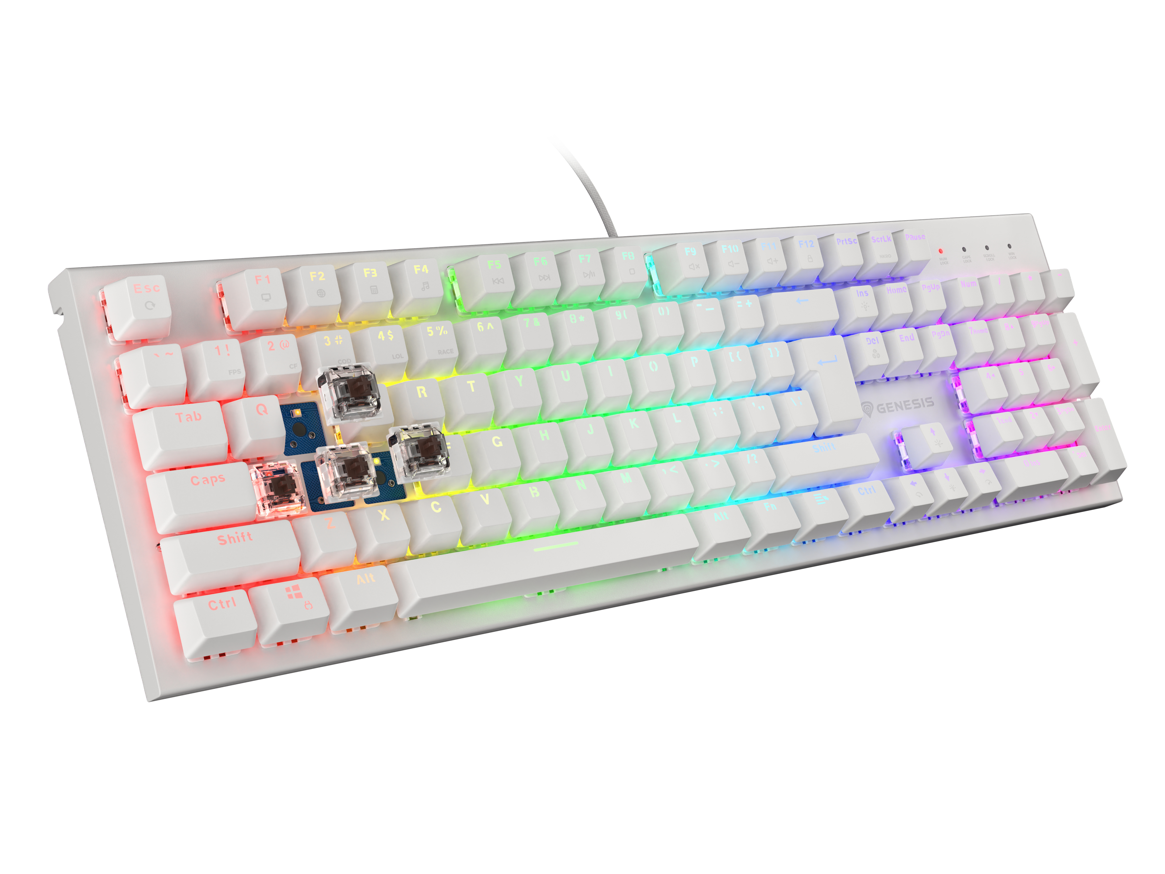 Tastiera meccanica bianca con luci colorate e interruttori visibili, alcuni tasti sono rimossi.