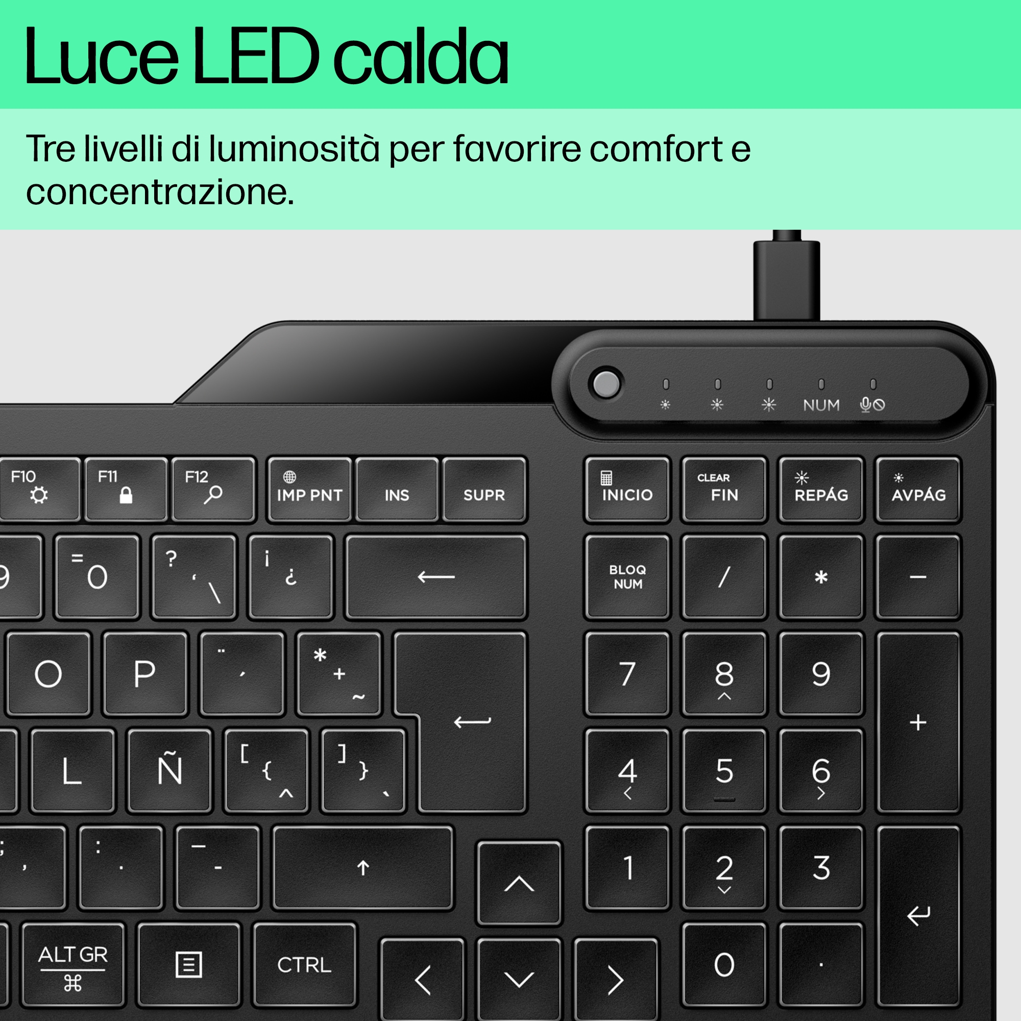 Primo piano di una tastiera nera con tasti bianchi. I tasti sono illuminati da una luce LED calda.