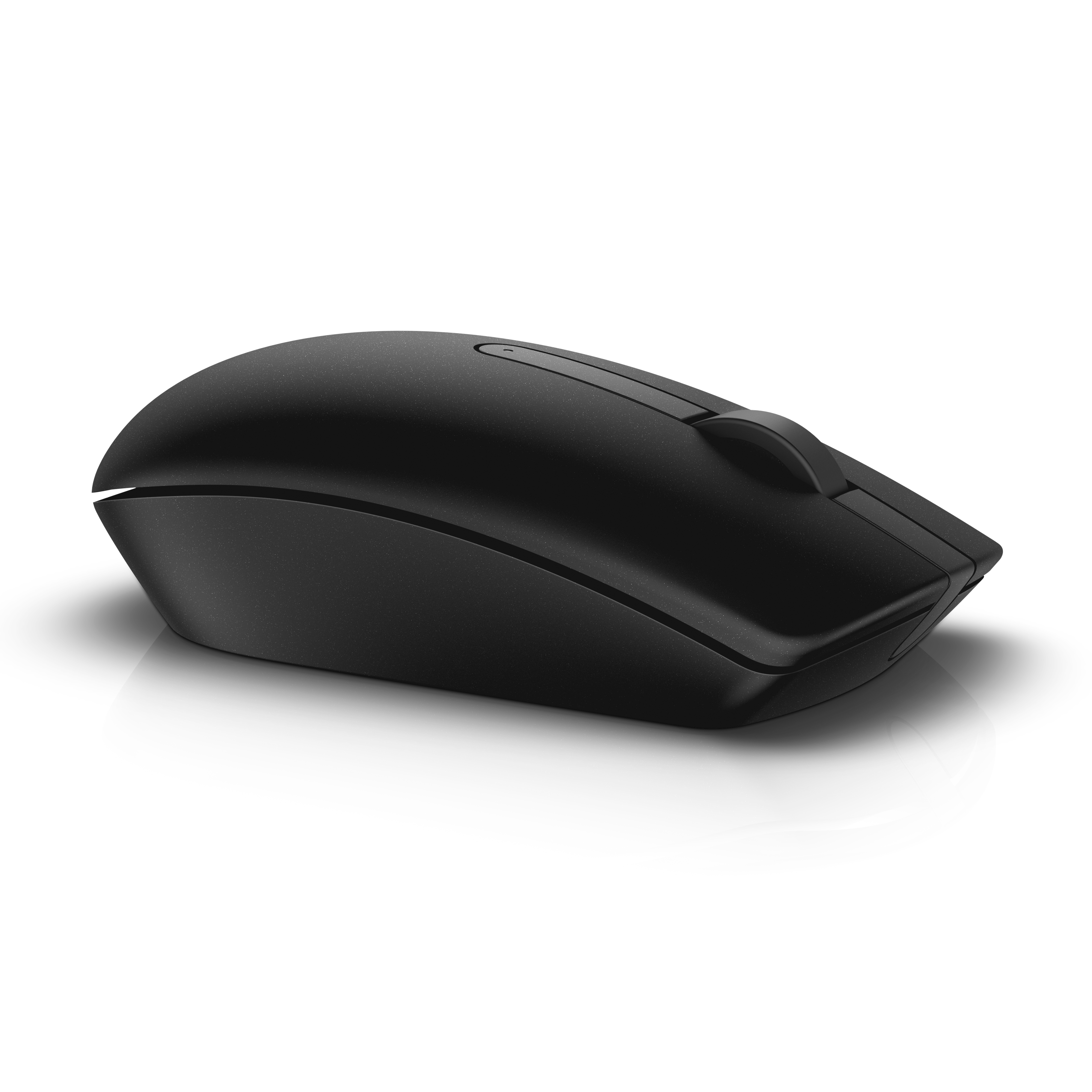Schwarze Maus auf weißem Hintergrund. Die Maus ist leicht angewinkelt.