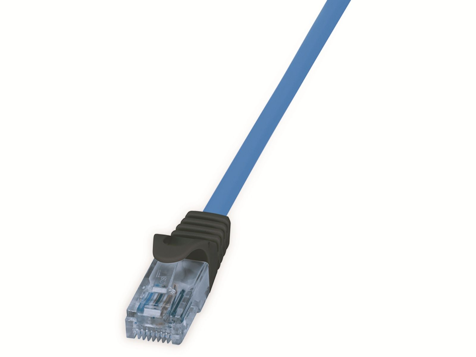 Cavo di rete blu con connettore nero. Sfondo bianco.
