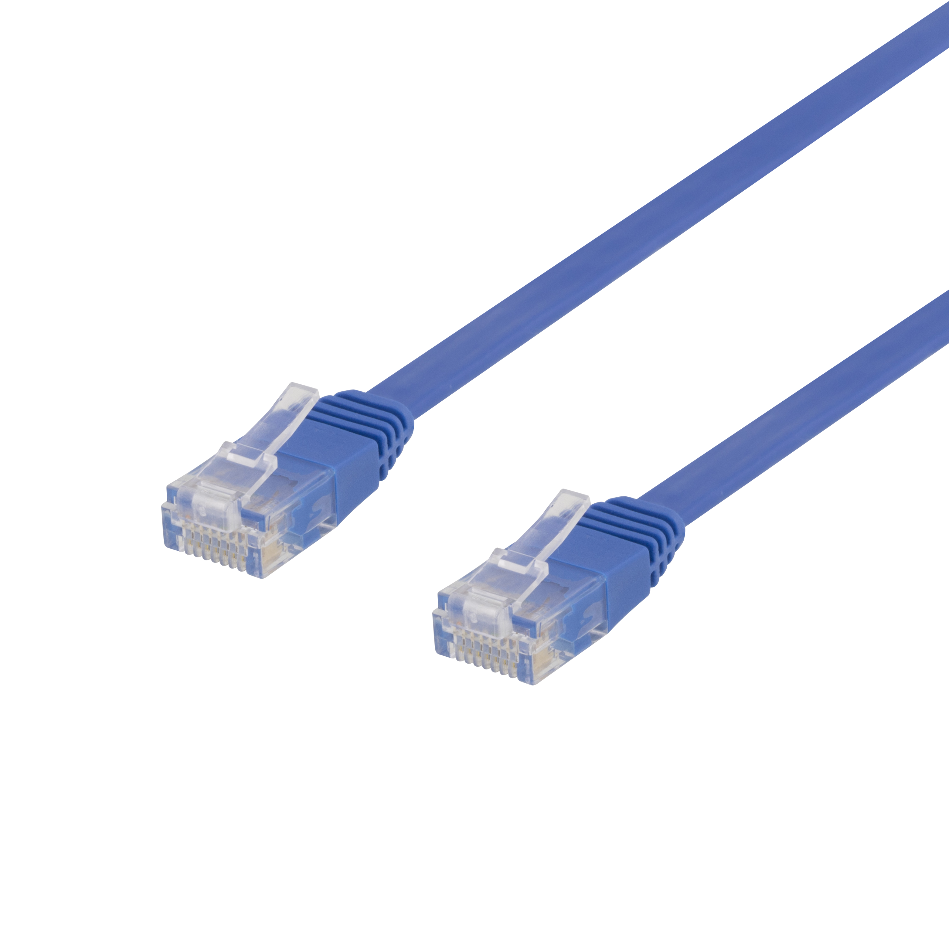 Due cavi ethernet blu con connettori trasparenti.