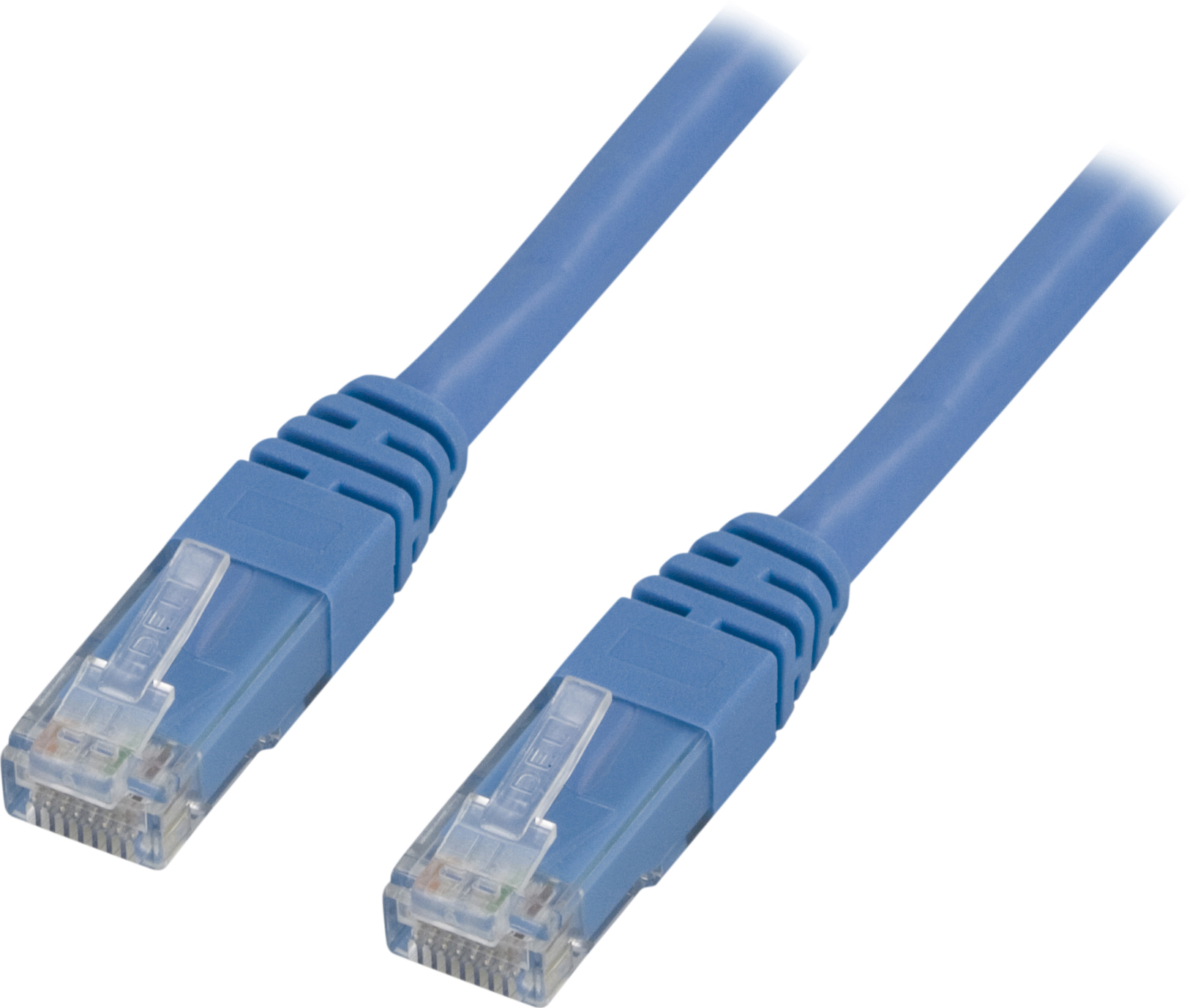 Zwei blaue Netzwerkkabel mit Steckern. Weißer Hintergrund.